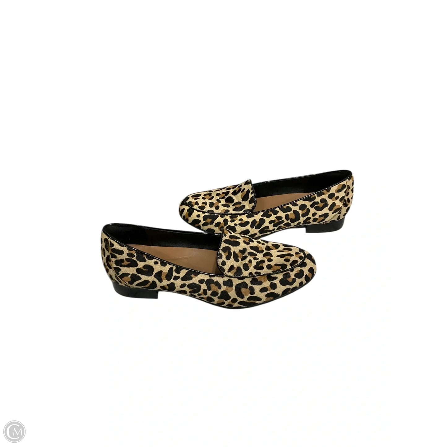 Shoes Flats By Clarks In Animal Print, Size: 8