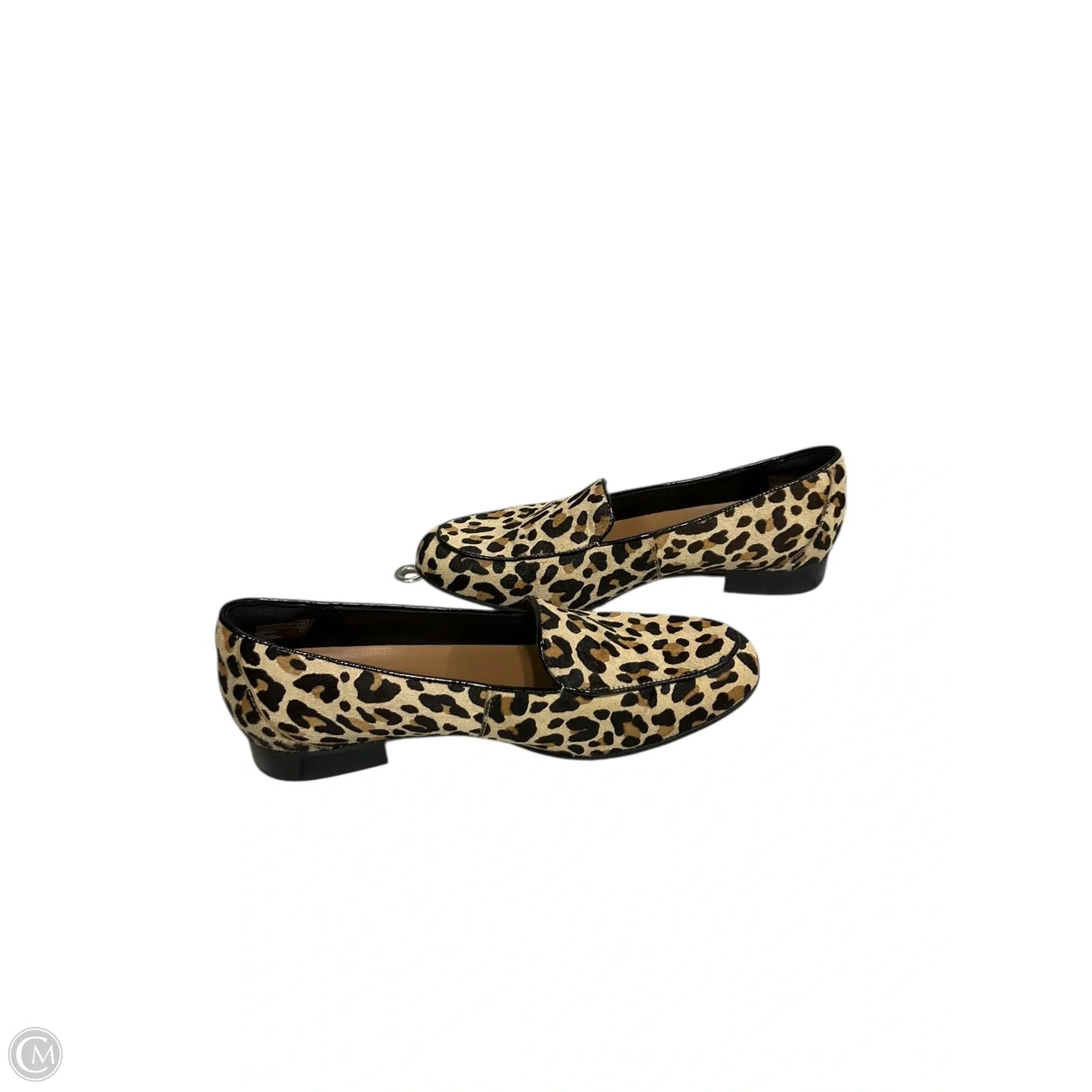 Shoes Flats By Clarks In Animal Print, Size: 8
