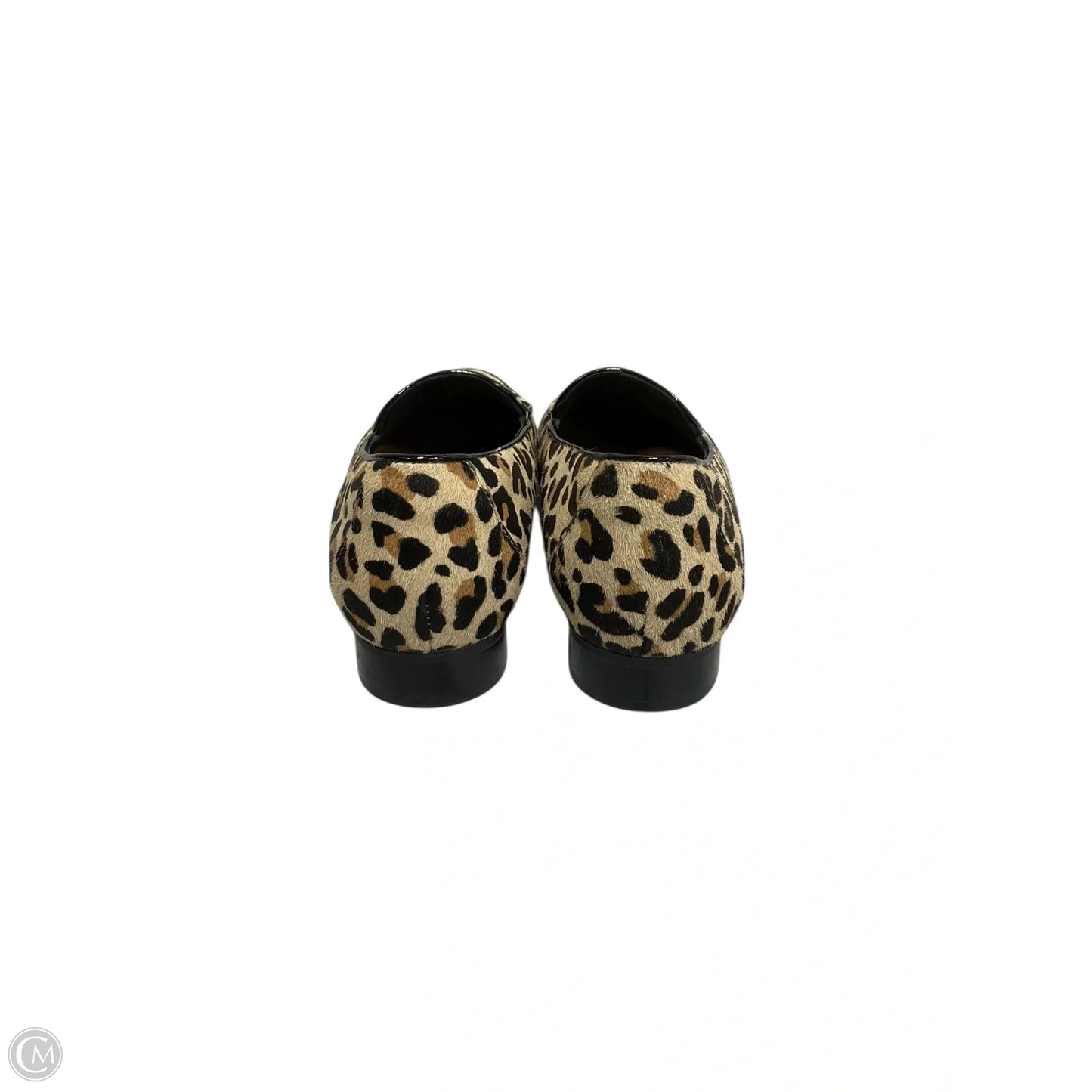 Shoes Flats By Clarks In Animal Print, Size: 8