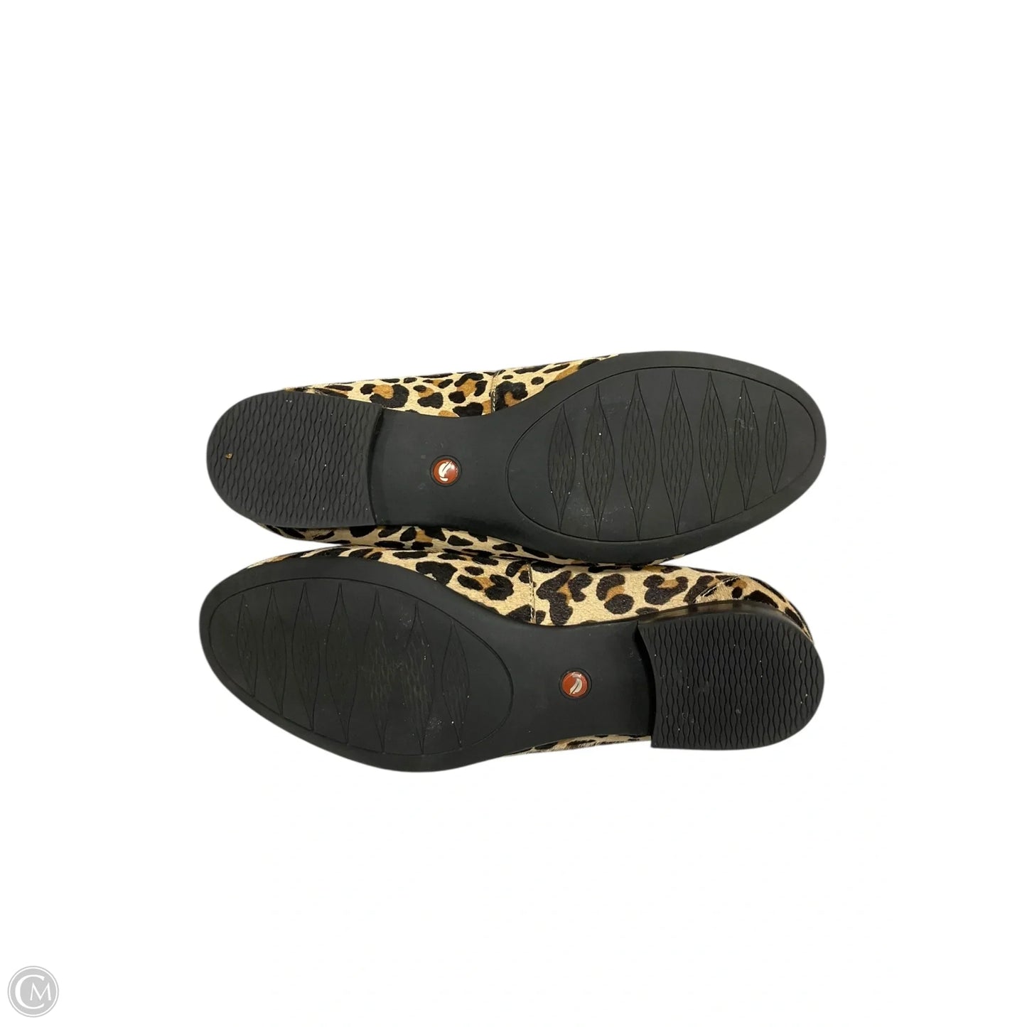 Shoes Flats By Clarks In Animal Print, Size: 8