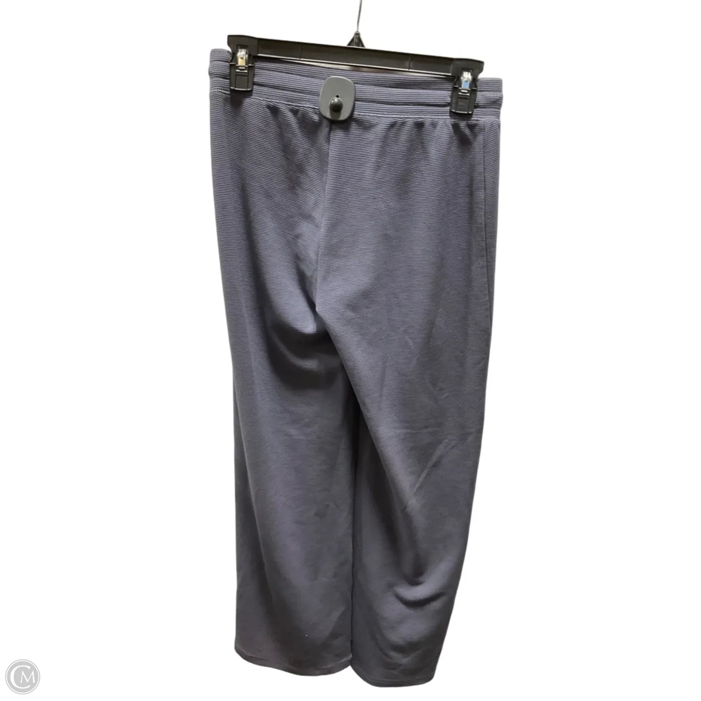 Pants Lounge By Tna In Blue, Size: 4