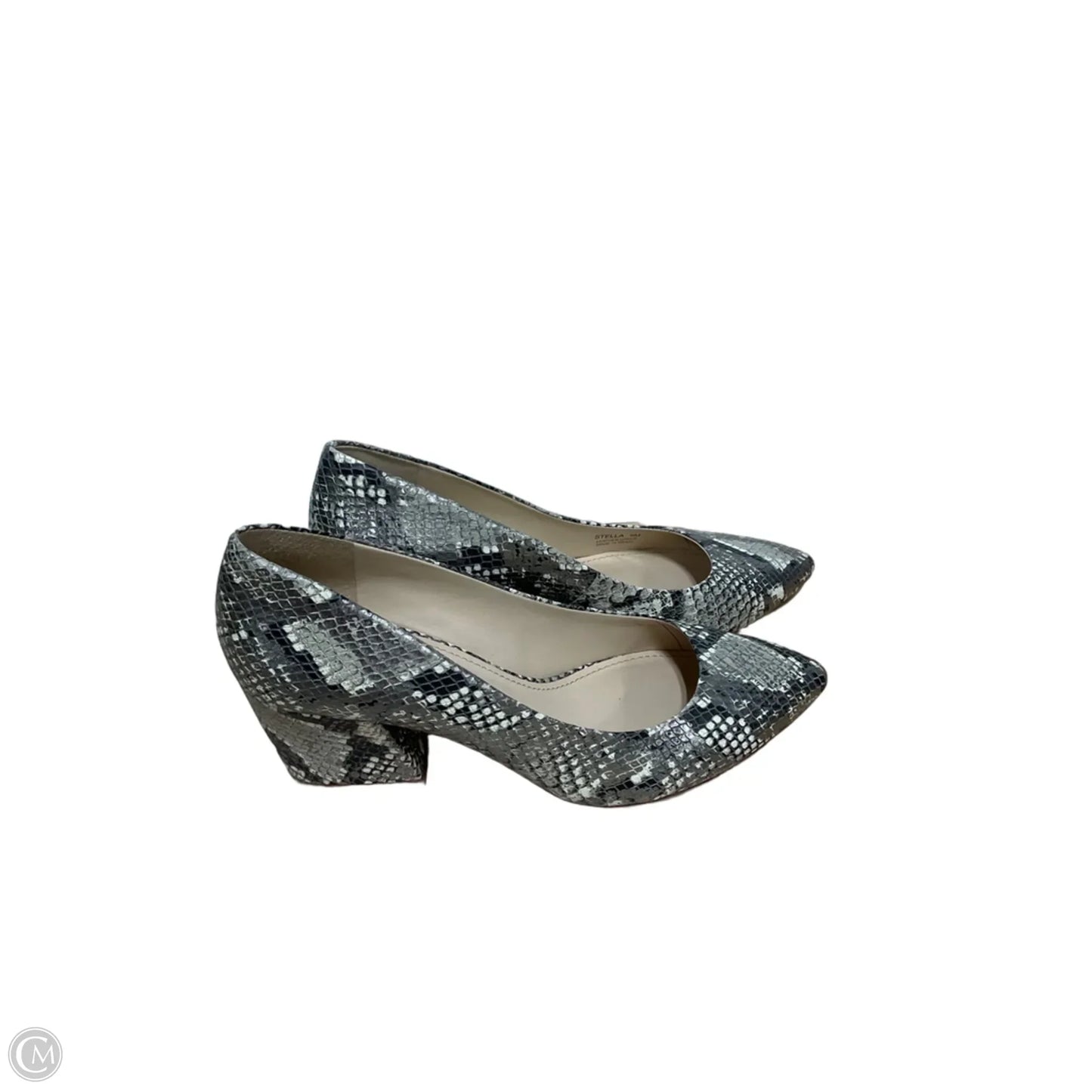 Shoes Heels Block By Botkier In Snakeskin Print, Size: 9