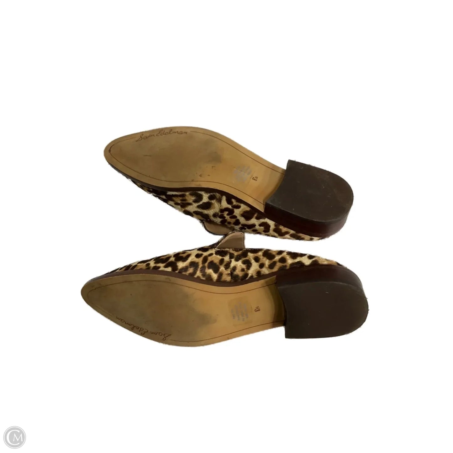 Shoes Flats By Sam Edelman In Animal Print, Size: 8.5
