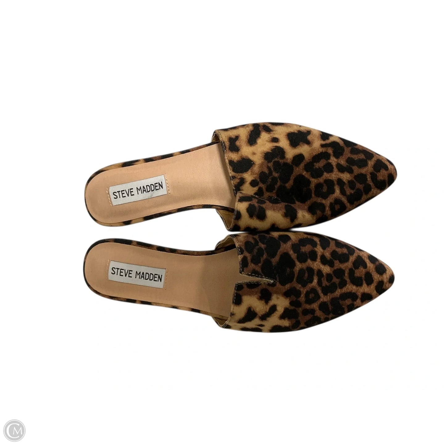 Shoes Flats By Steve Madden In Animal Print, Size: 8