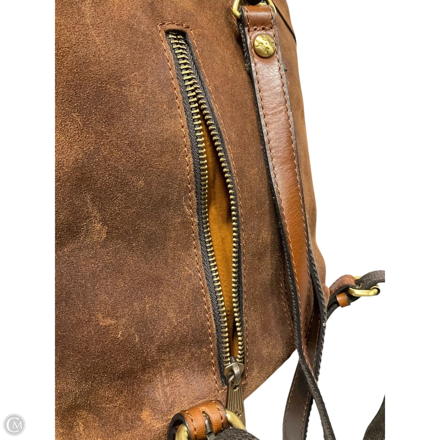 Backpack Designer By Patricia Nash, Size: Medium