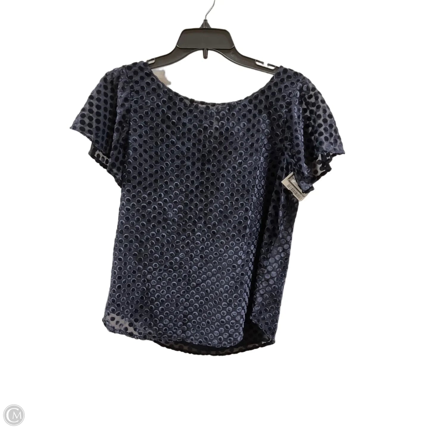 Top Short Sleeve By Loft In Blue, Size: Xs