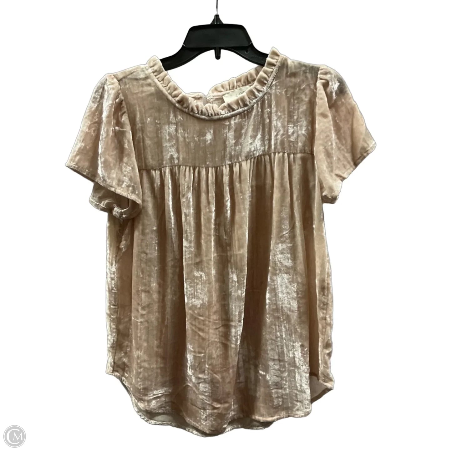 Top Short Sleeve By Loft In Cream, Size: M