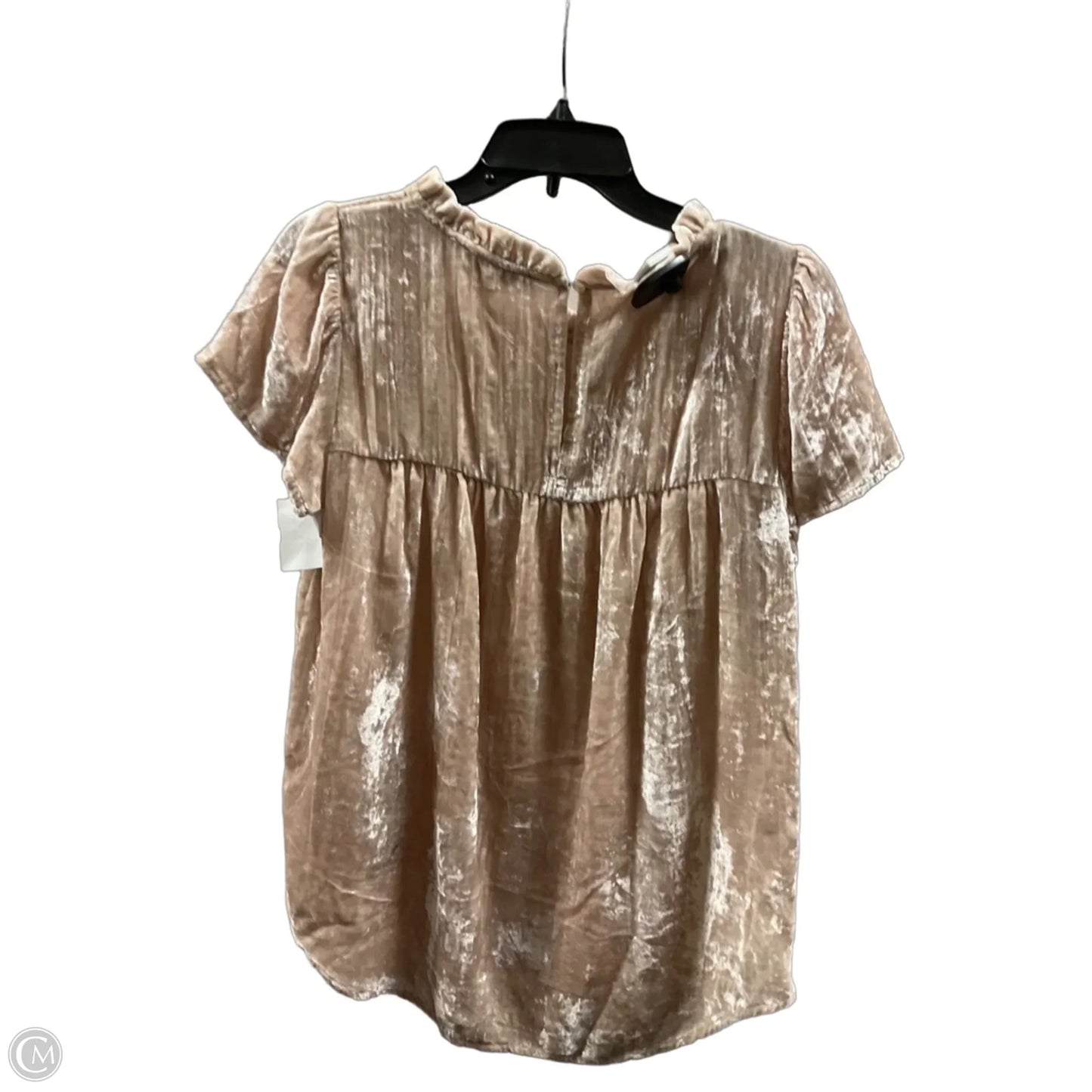 Top Short Sleeve By Loft In Cream, Size: M