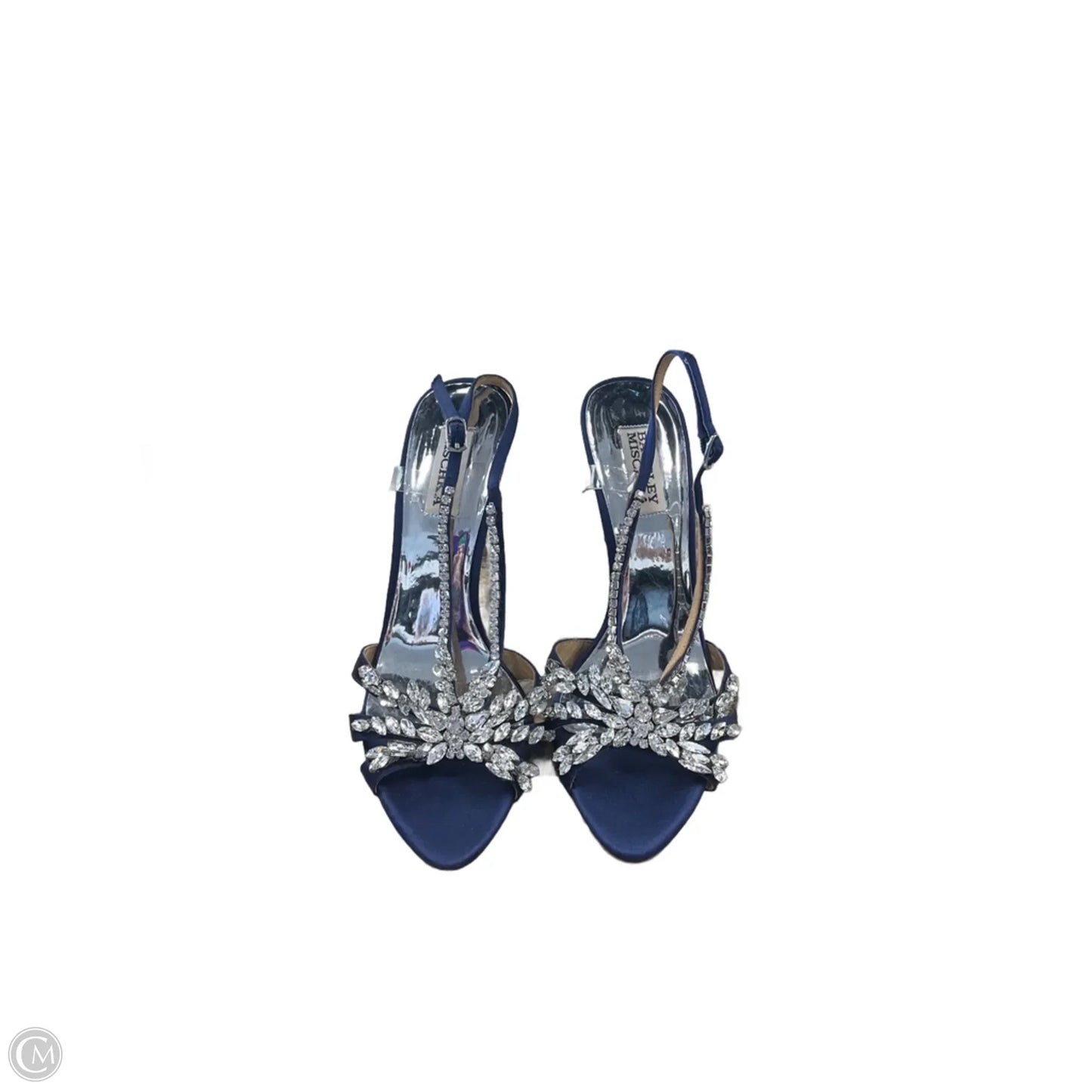 Shoes Heels Stiletto By Badgley Mischka In Blue, Size: 7.5
