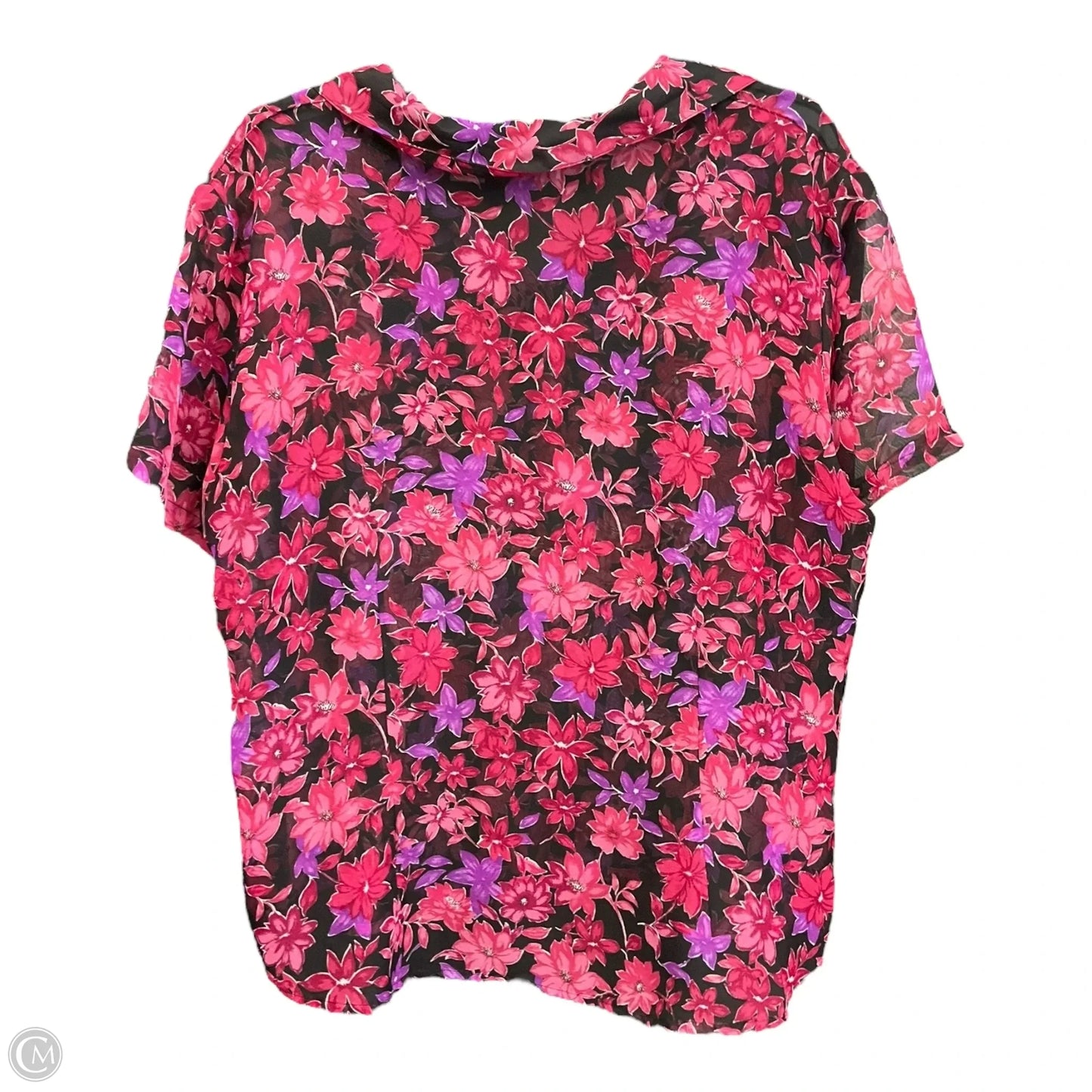 Blouse Short Sleeve By Aparenza In Floral Print, Size: 1x