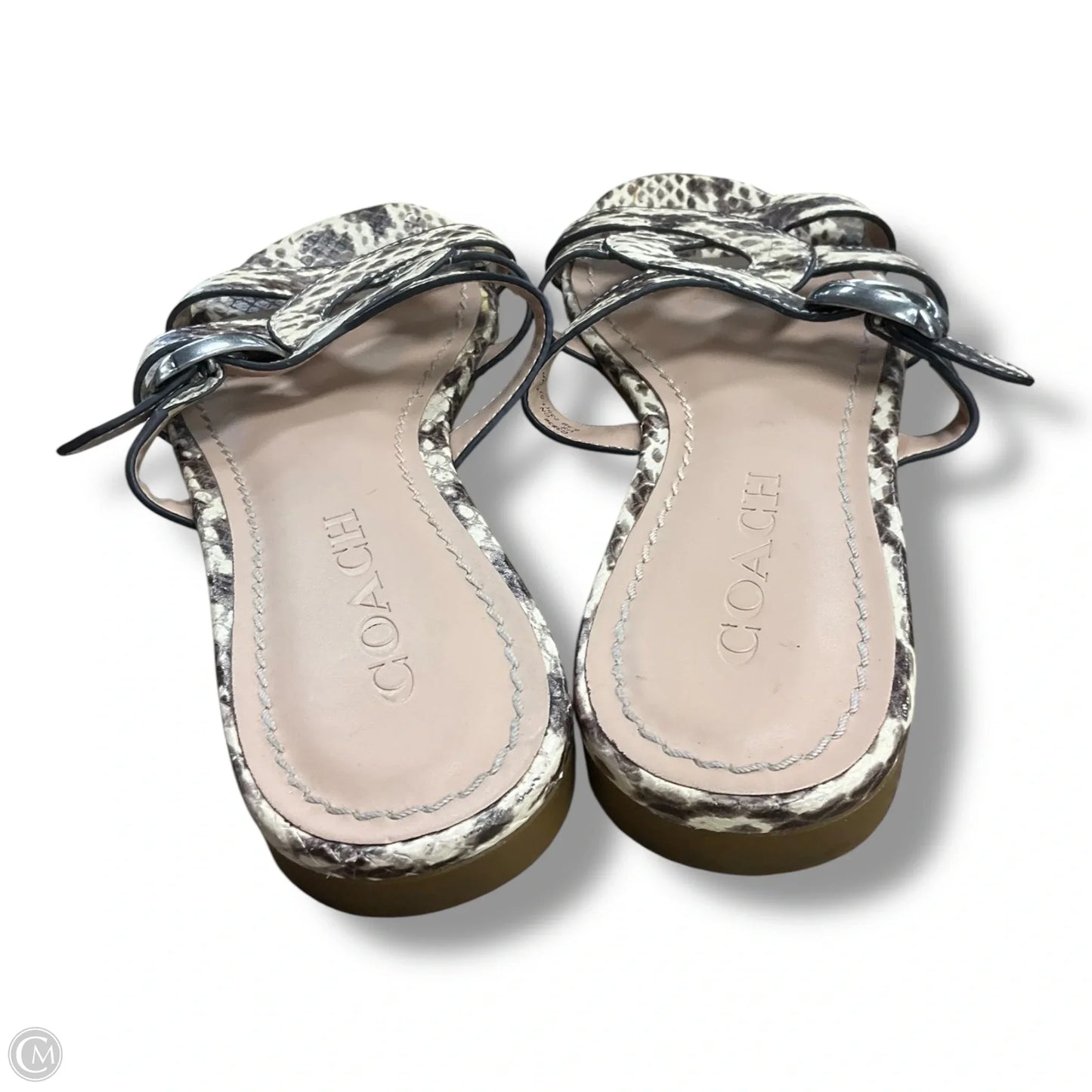 Sandals Flats By Coach In Snakeskin Print, Size: 6.5