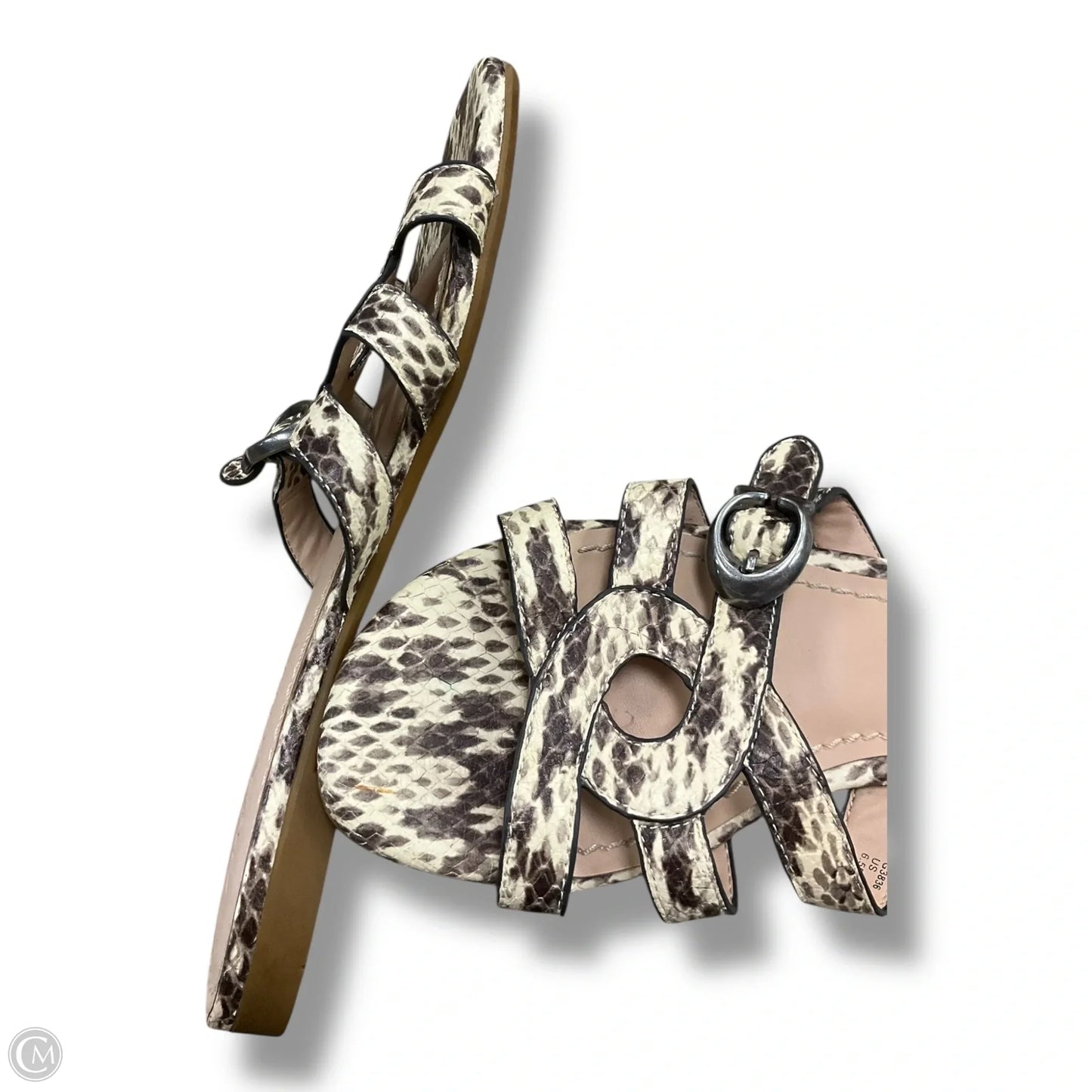 Sandals Flats By Coach In Snakeskin Print, Size: 6.5