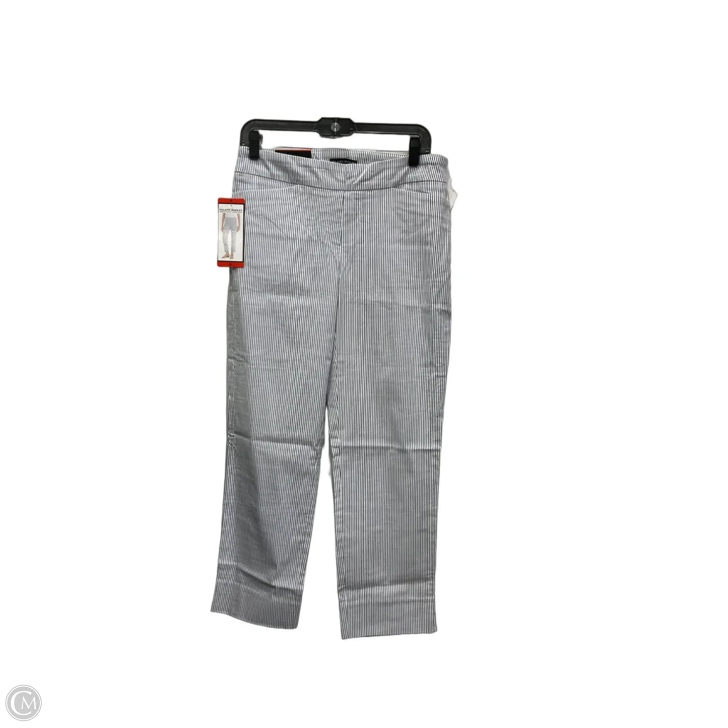 Pants Other By Hilary Radley In Blue & White, Size: 8