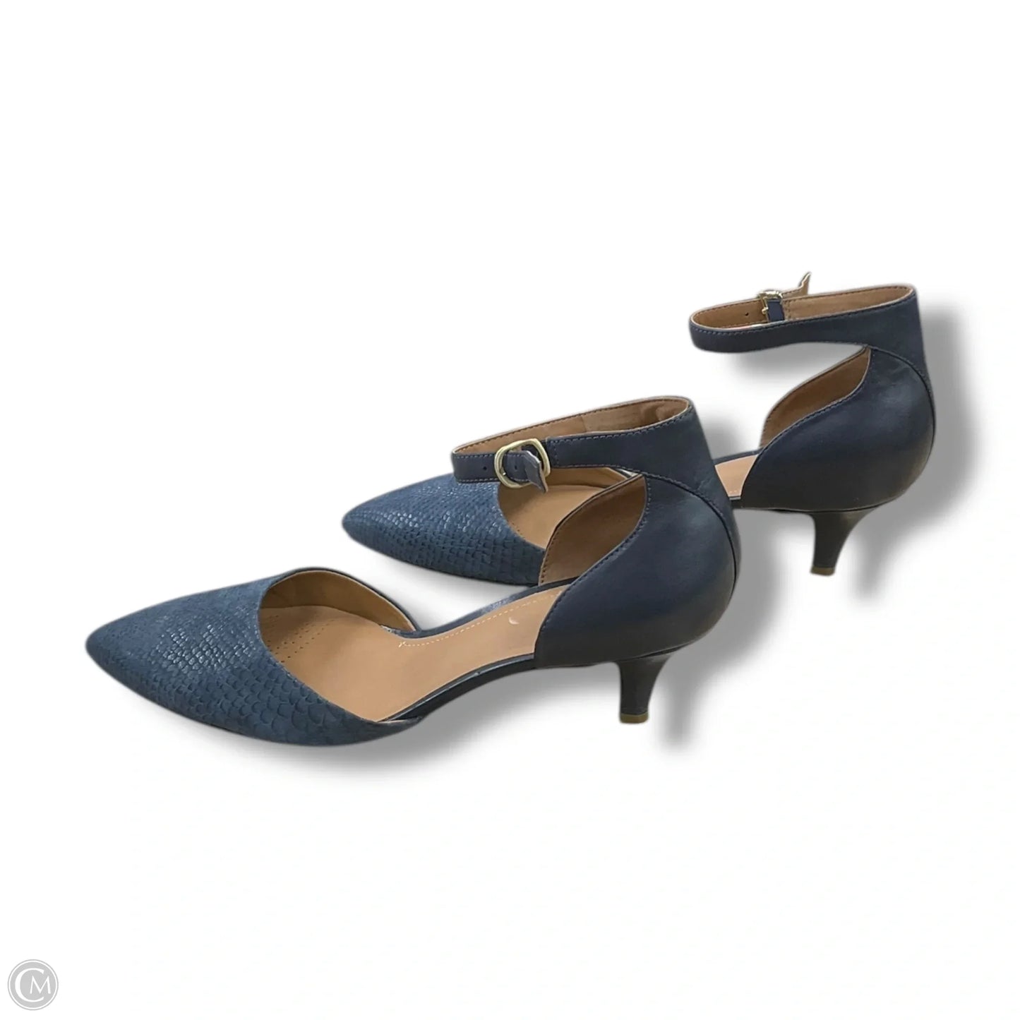 Shoes Heels Stiletto By Clarks In Blue, Size: 8.5