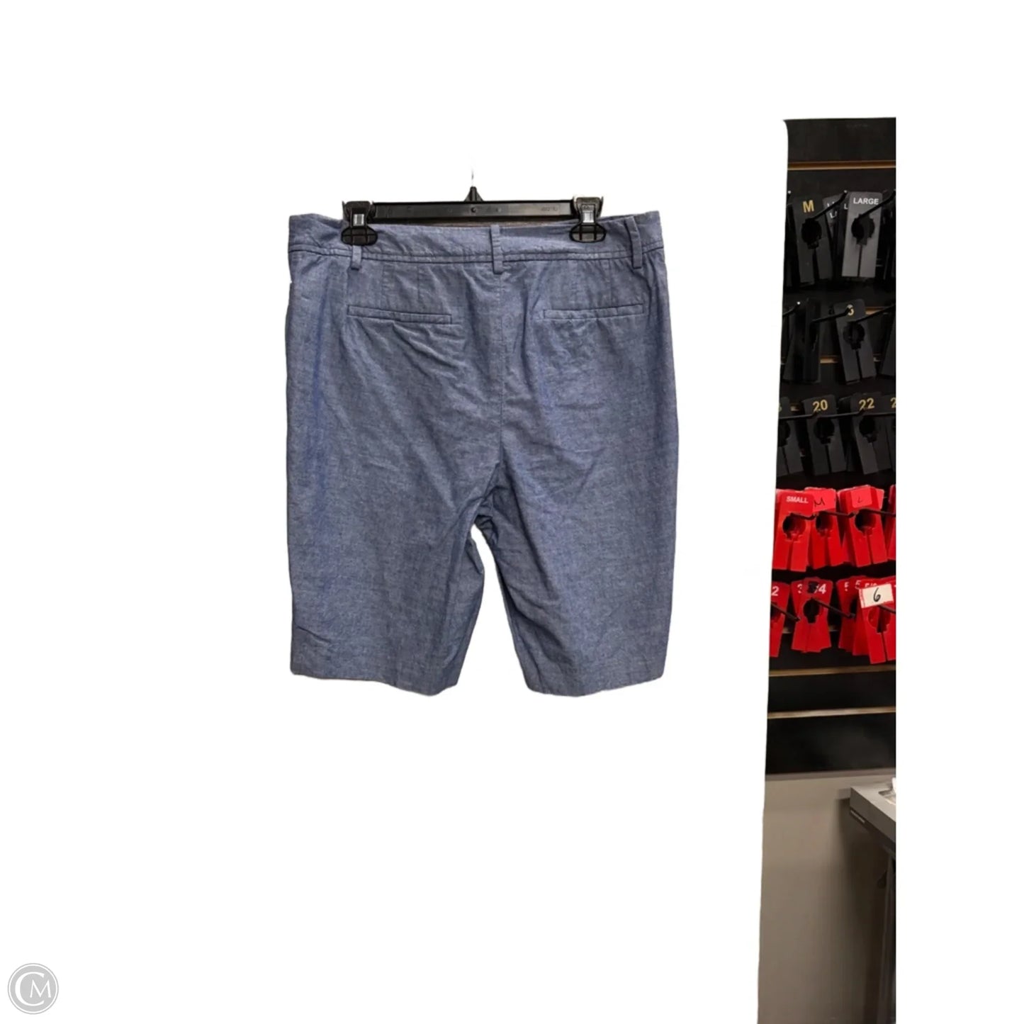 Shorts By Talbots In Blue, Size: 10