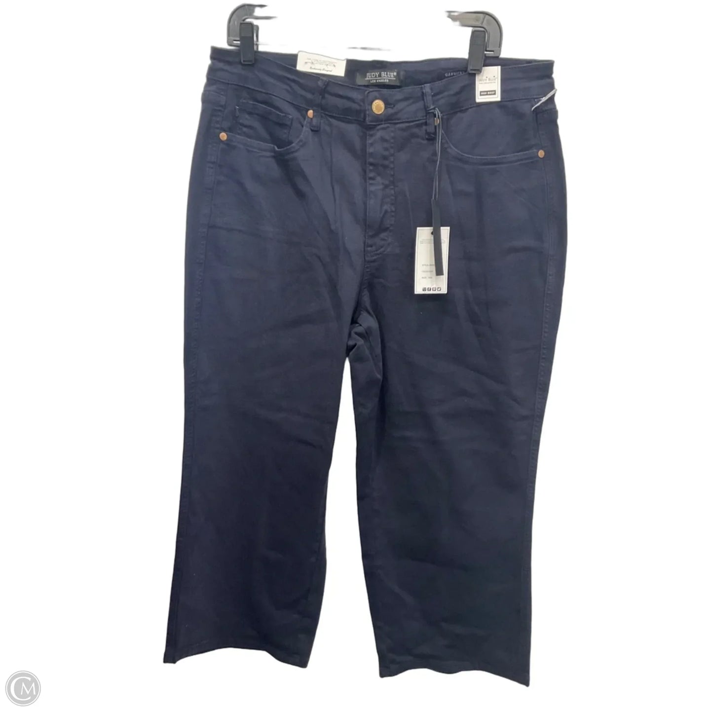 Jeans Flared By Judy Blue In Blue Denim, Size: 18