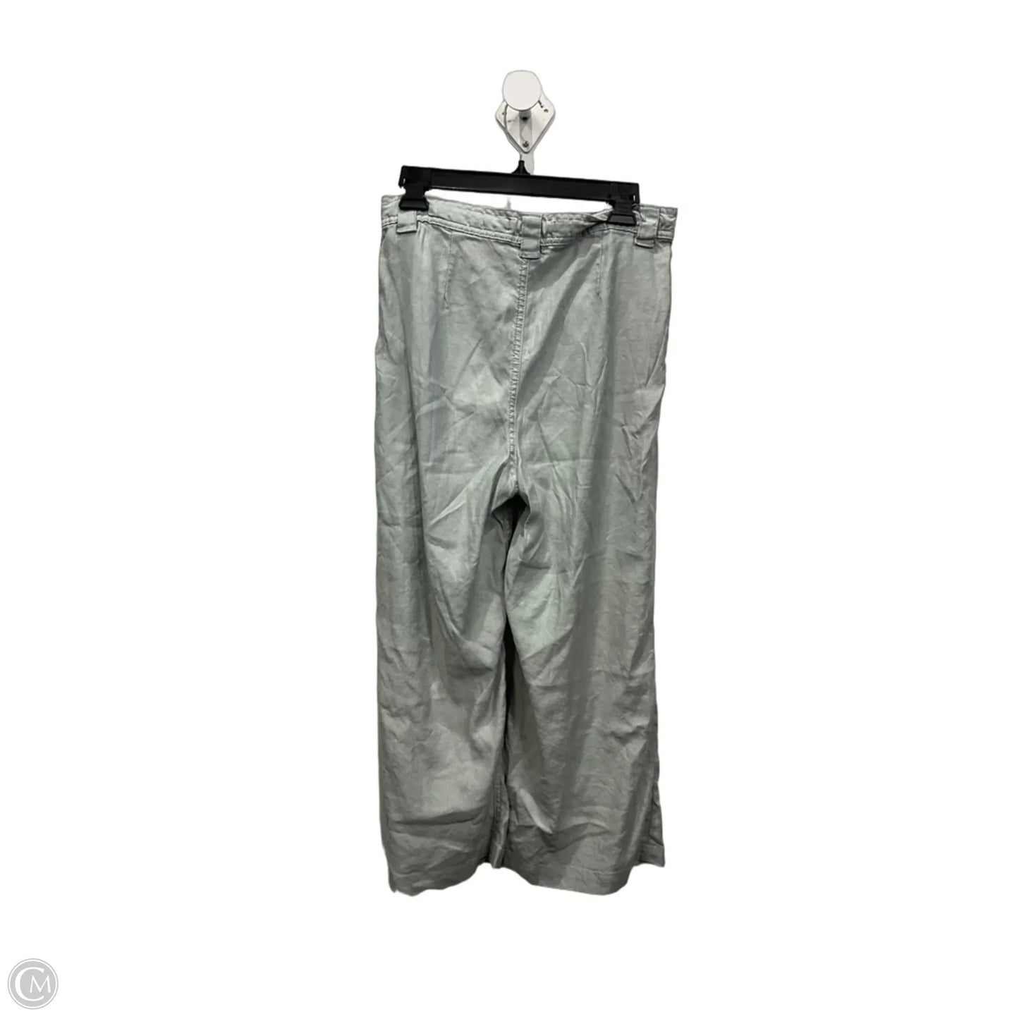 Pants Cargo & Utility By Hudson In Green, Size: 4