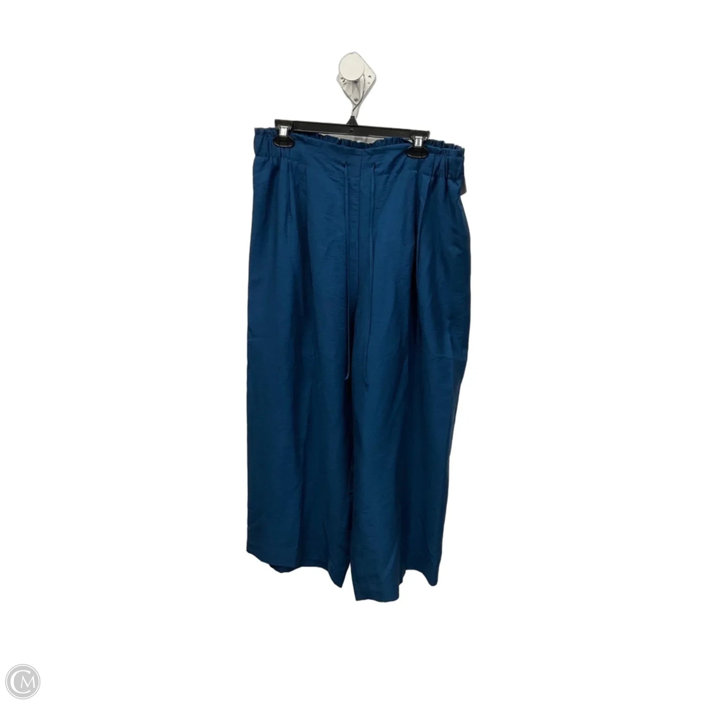 Pants Wide Leg By Chicos In Blue, Size: 12