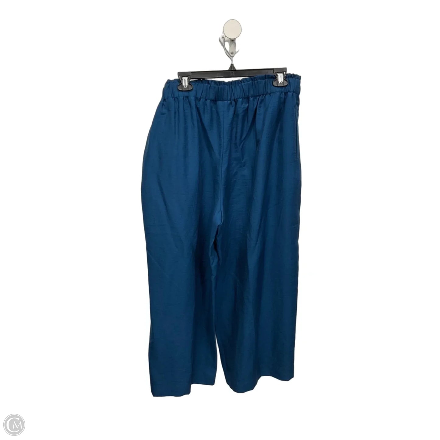 Pants Wide Leg By Chicos In Blue, Size: 12