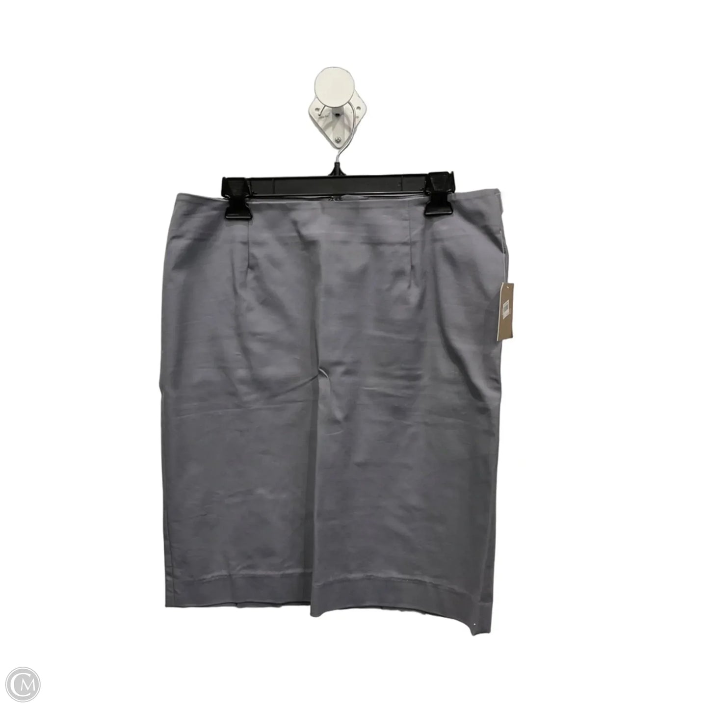 Skirt Midi By Ellen Tracy In Grey, Size: 10