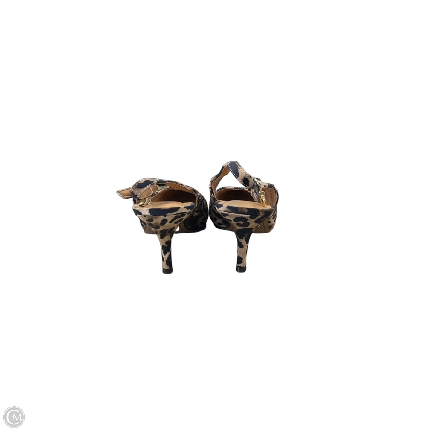 Shoes Heels Kitten By Clothes Mentor In Animal Print, Size: 9.5
