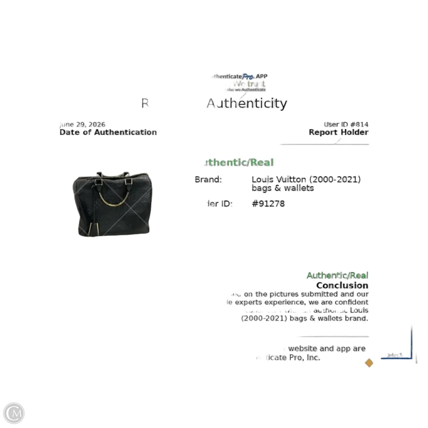 Handbag Luxury Designer By Louis Vuitton, Size: Large