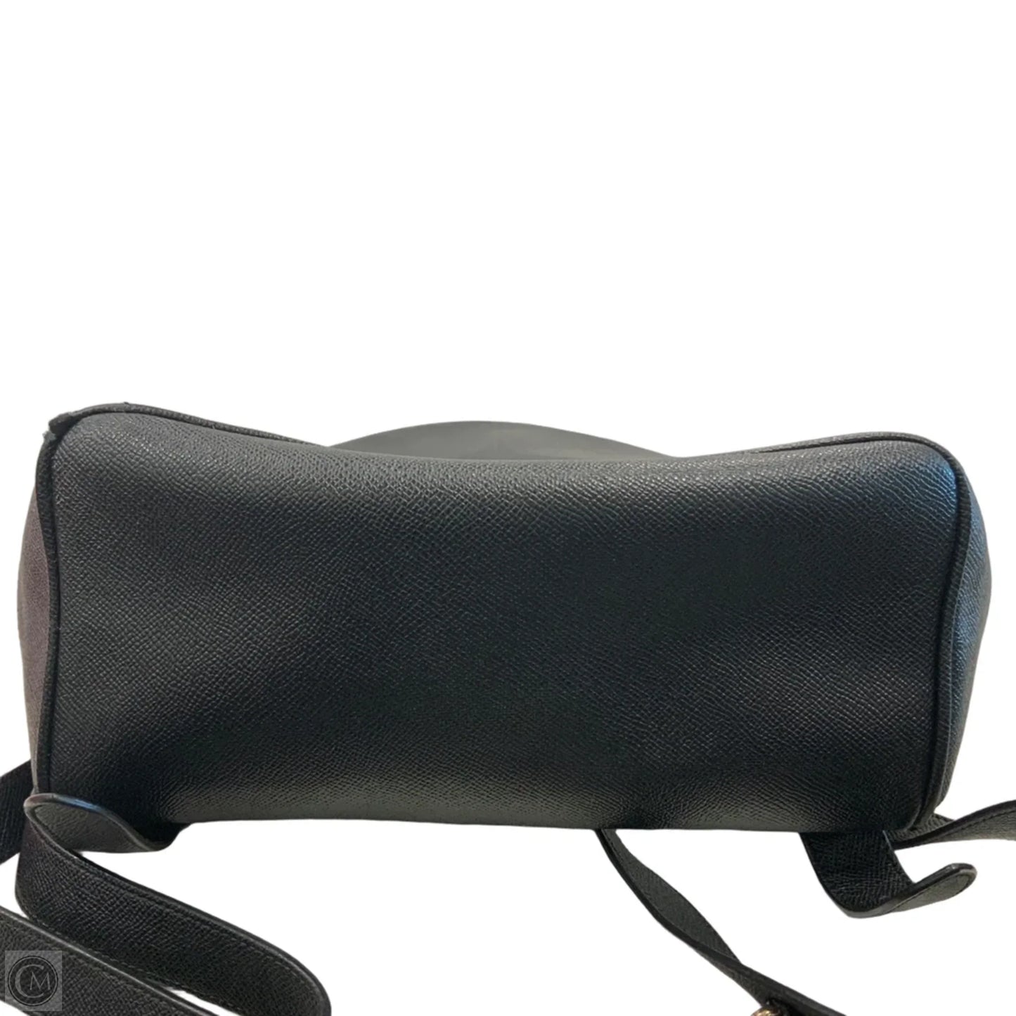 Backpack Designer By Coach, Size: Medium
