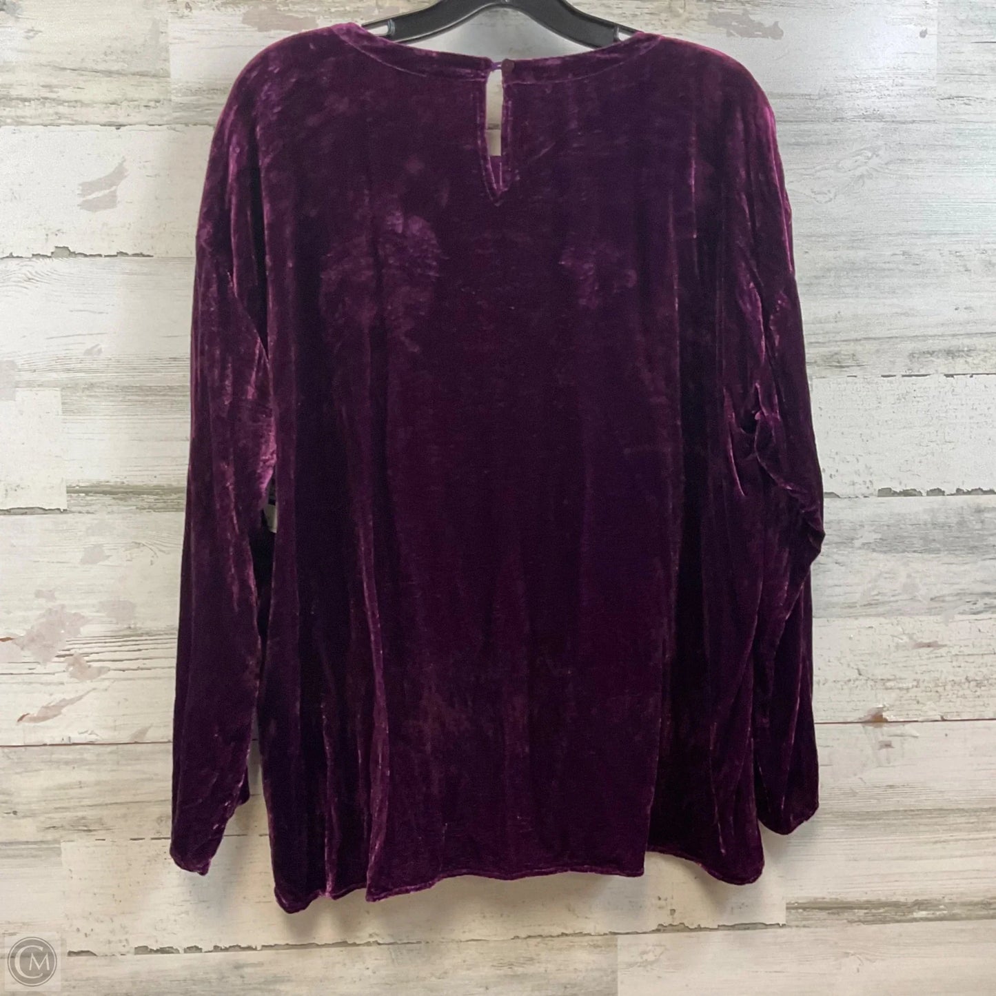 Blouse Long Sleeve By Eileen Fisher In Purple, Size: M