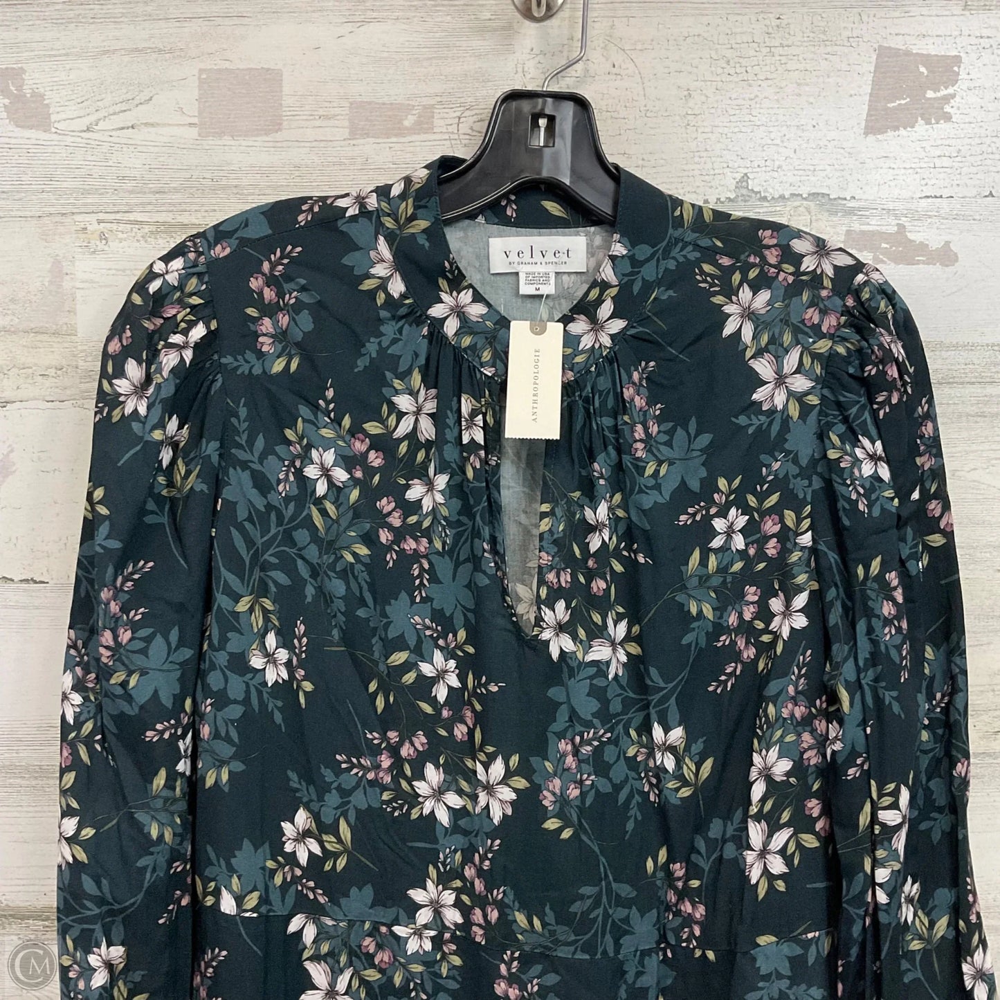 Dress Casual Short By Velvet By Graham & Spencer In Black, Size: M