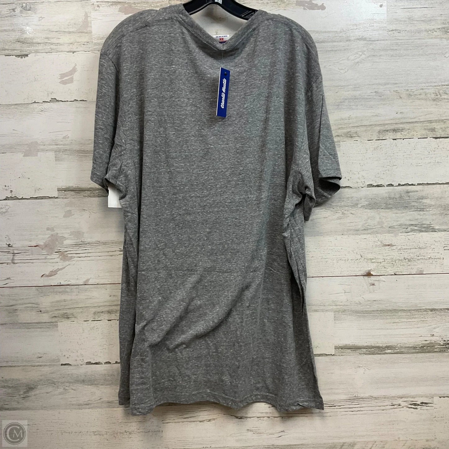 Top Short Sleeve By Charlie Hustle In Grey, Size: 3x
