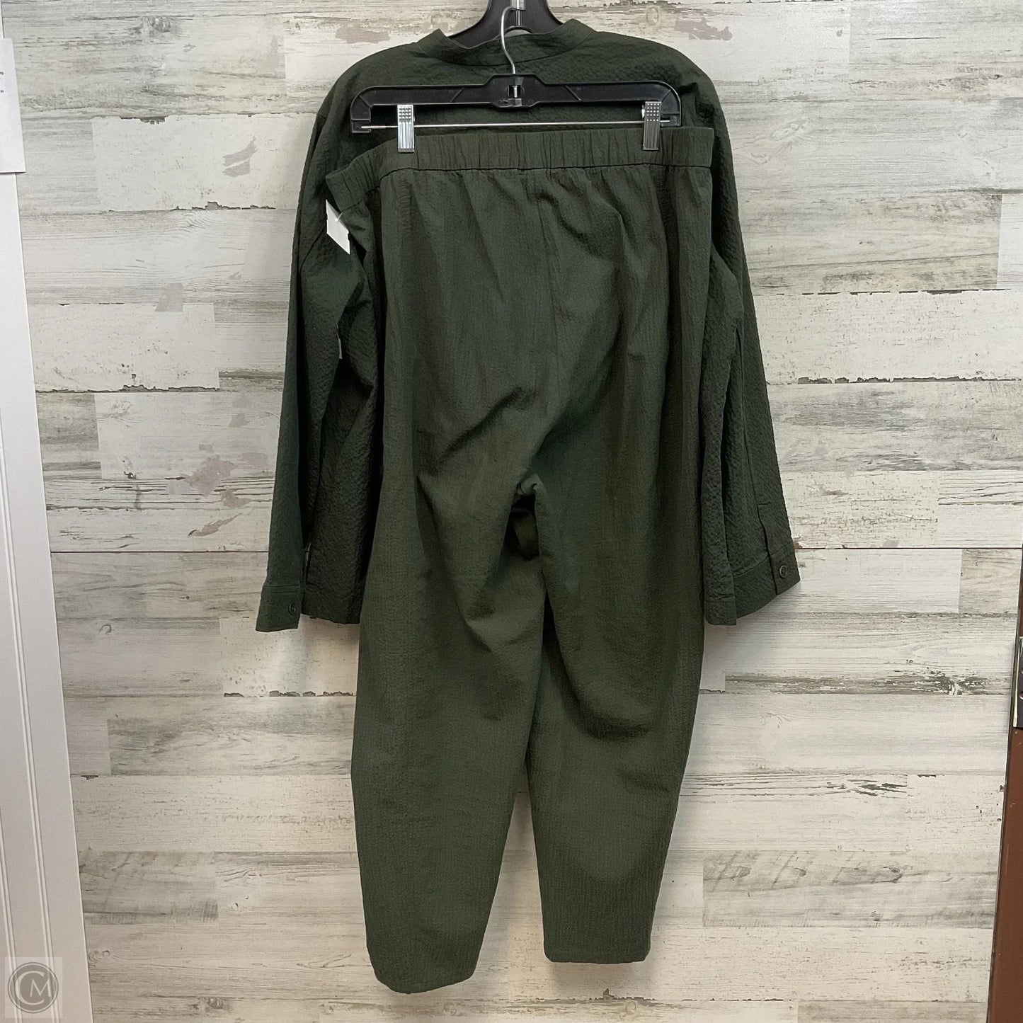 Top 2pc Long Sleeve By Eileen Fisher In Green, Size: L