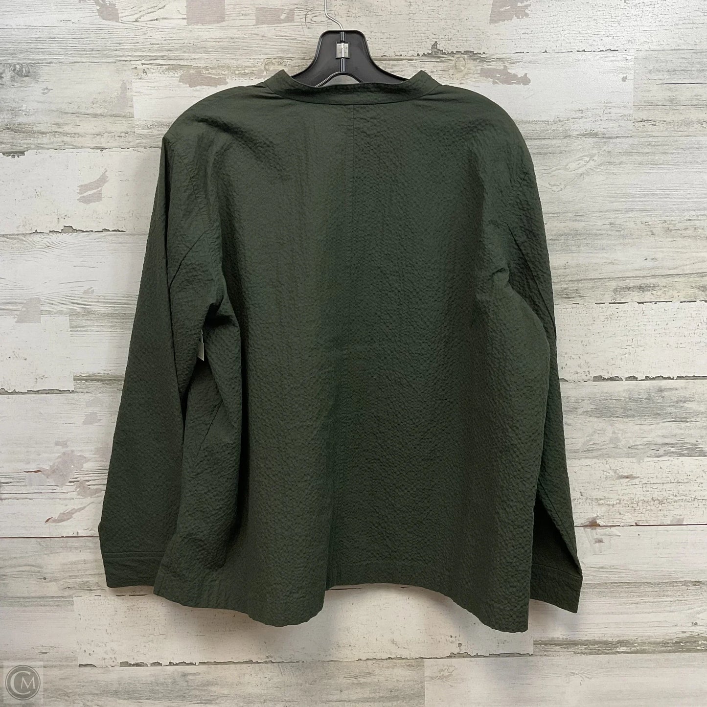 Top 2pc Long Sleeve By Eileen Fisher In Green, Size: L