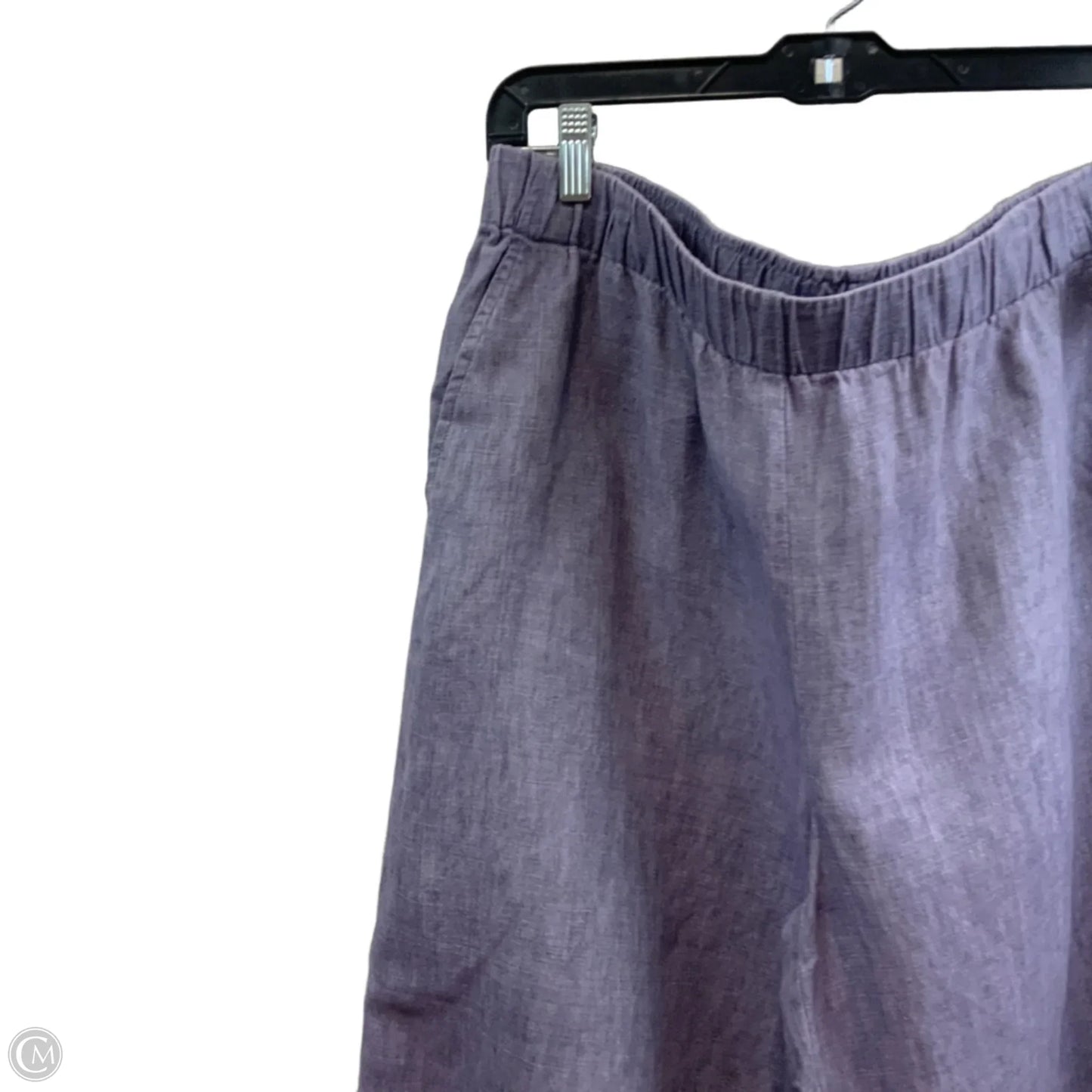 Pants Other By Eileen Fisher In Purple, Size: L