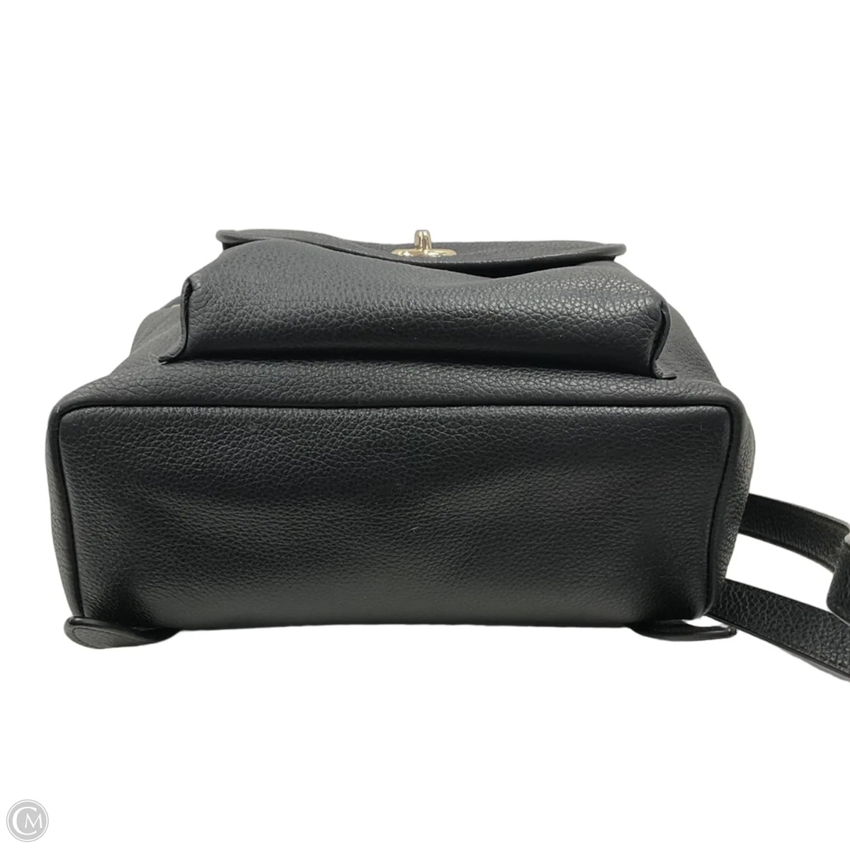Backpack Designer By Coach, Size: Small