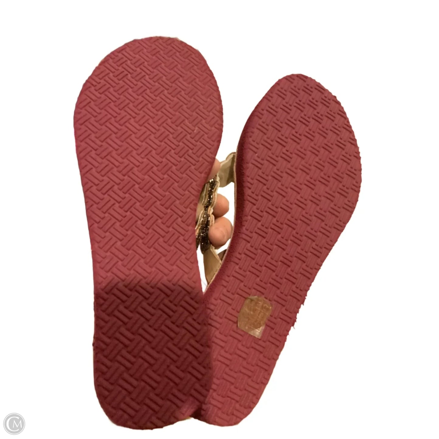 Sandals Flip Flops By laidback london In Brown, Size: 8.5