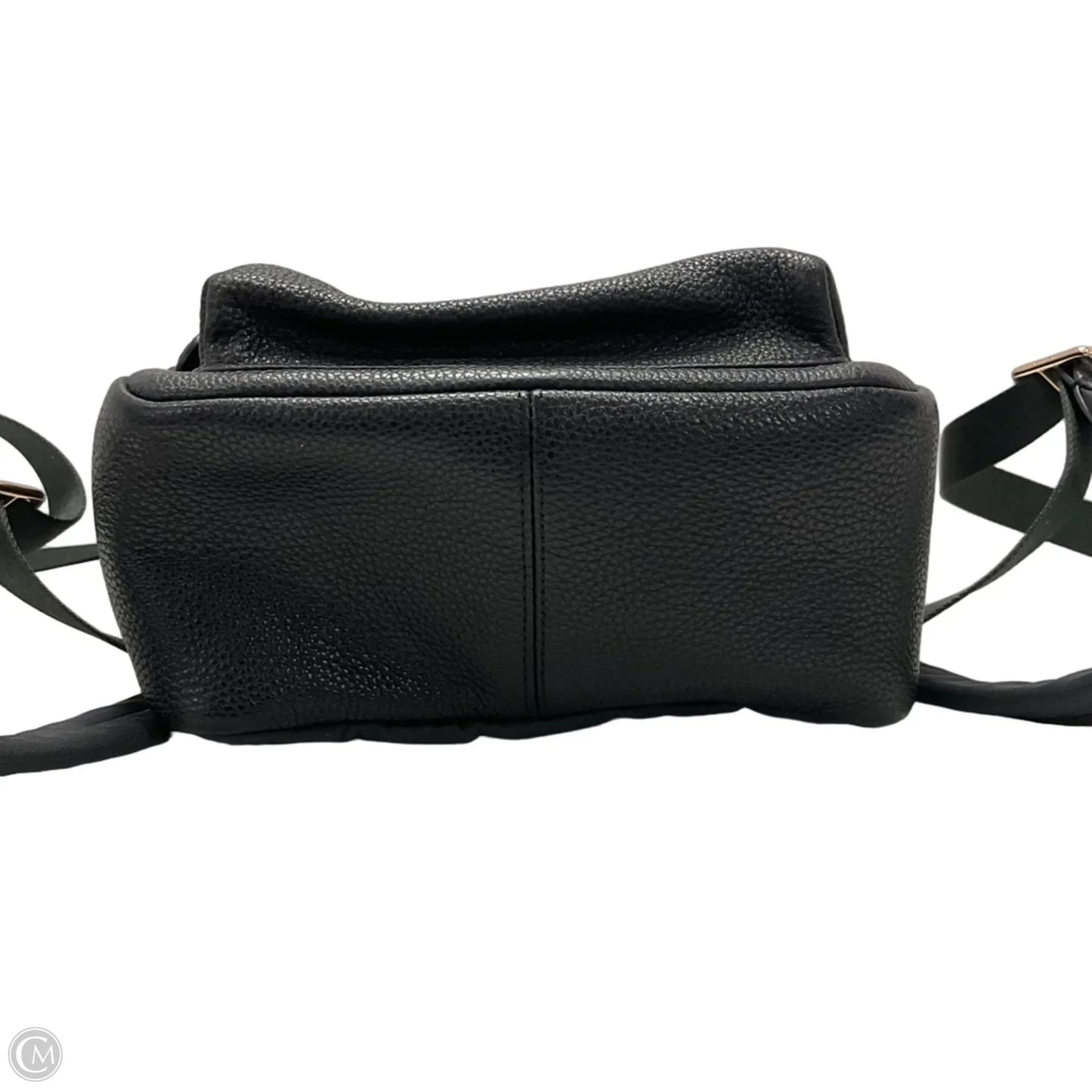 Backpack Designer By Coach, Size: Medium