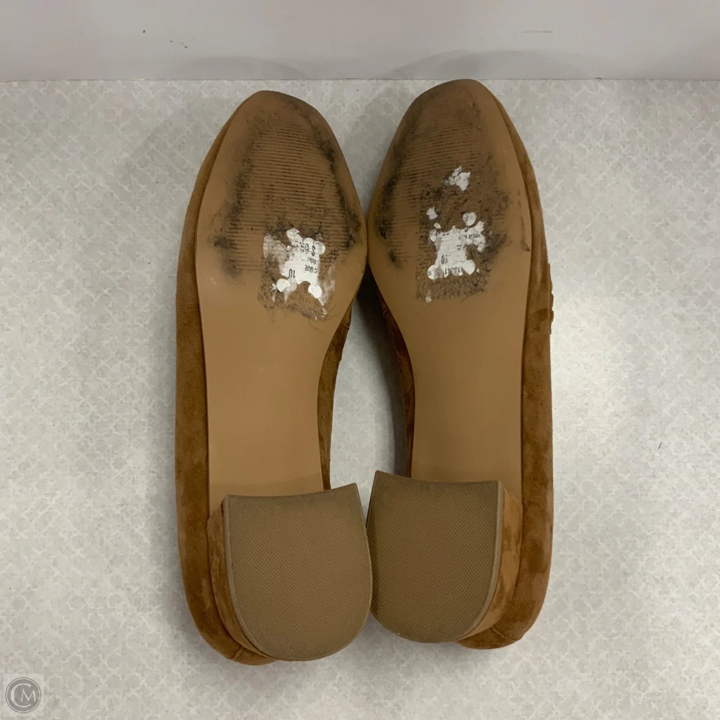 Shoes Flats By Steve Madden In Brown, Size: 10