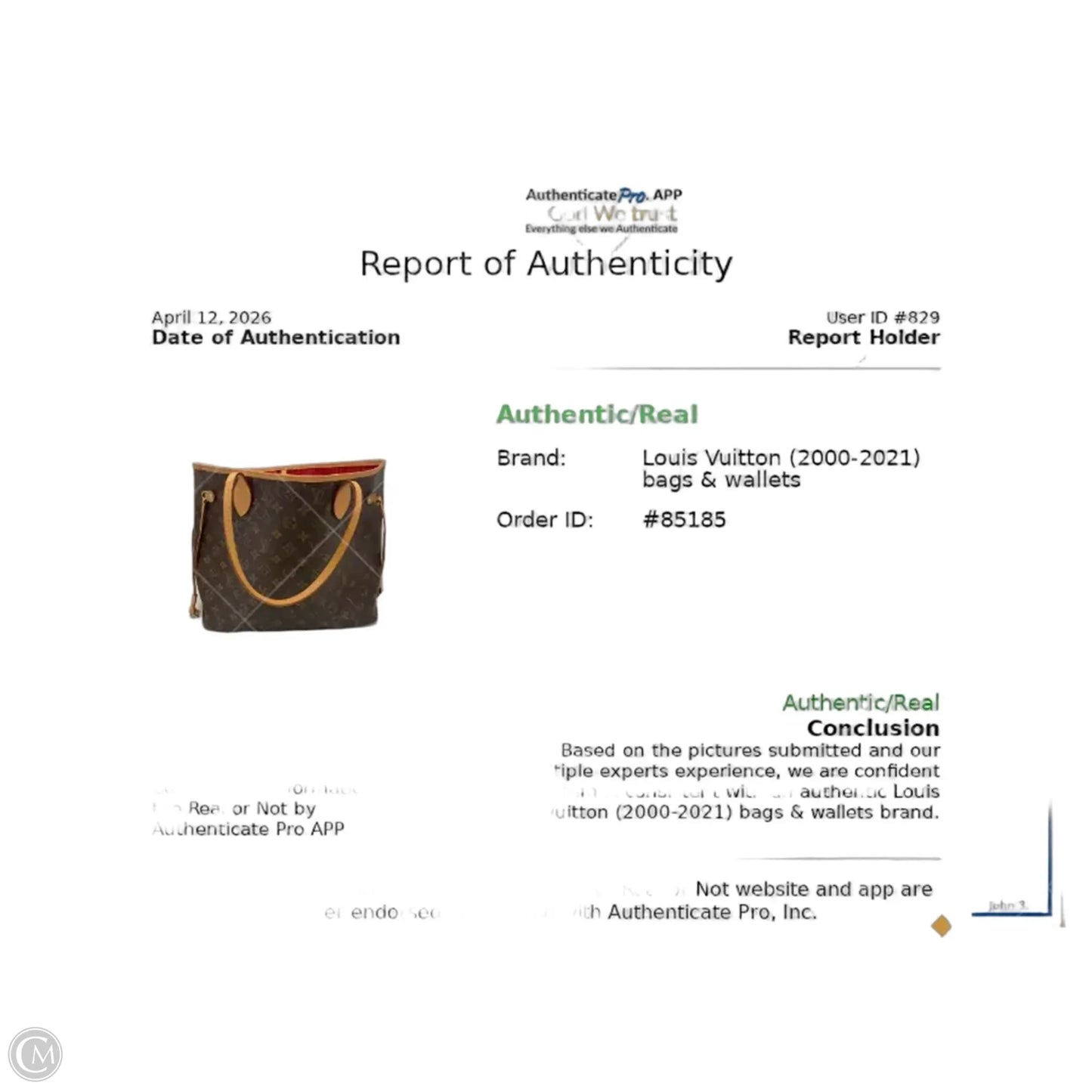 Handbag Luxury Designer By Louis Vuitton, Size: Large