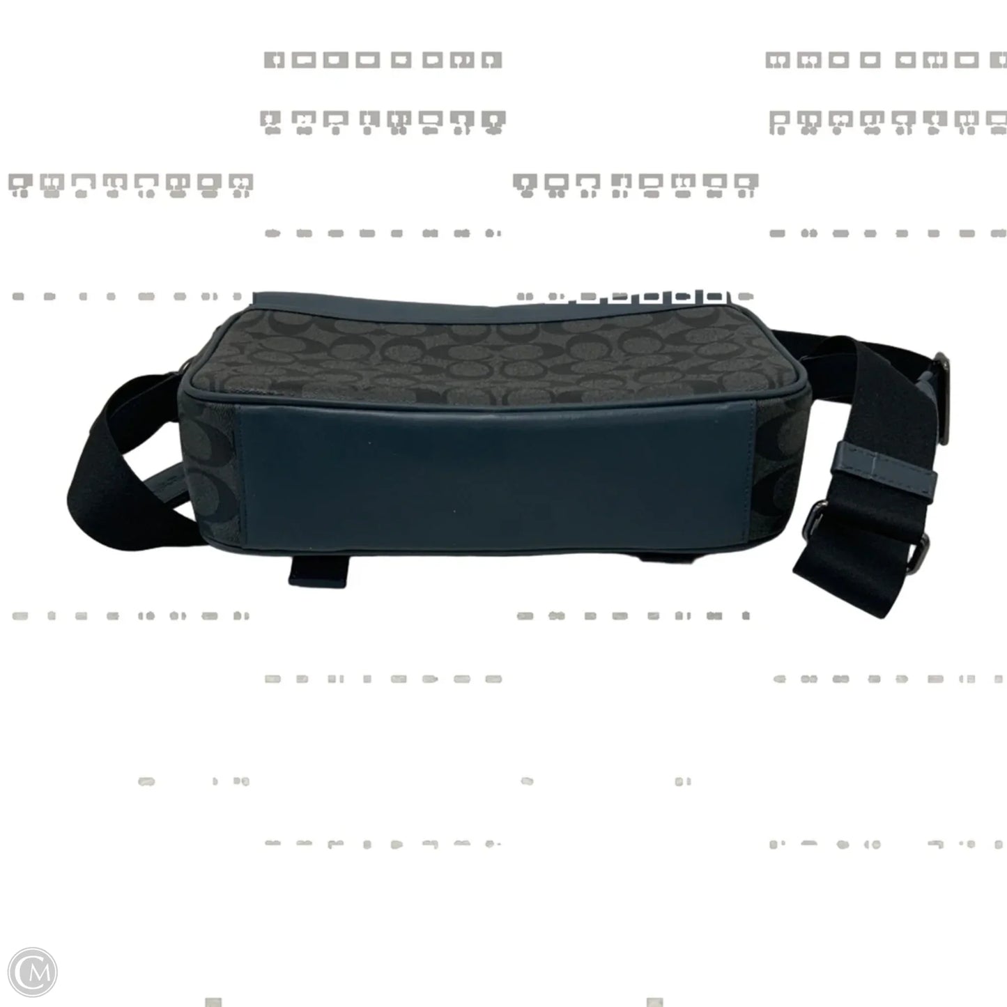 Crossbody Designer By Coach, Size: Large