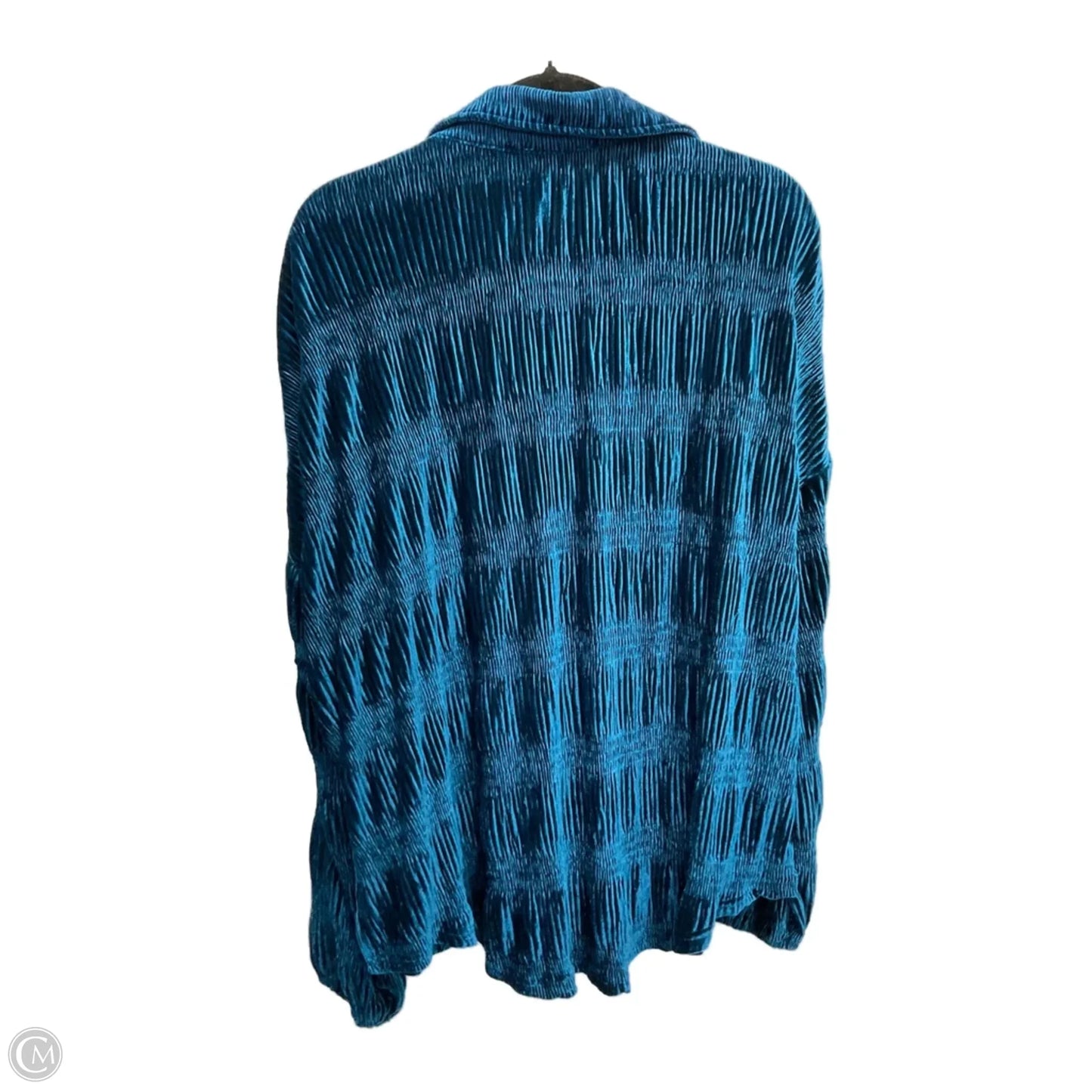 Blouse Long Sleeve By Umgee In Teal, Size: L