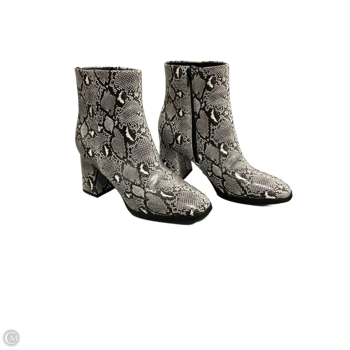 Boots Ankle Heels By Madden Girl In Snakeskin Print, Size: 8.5