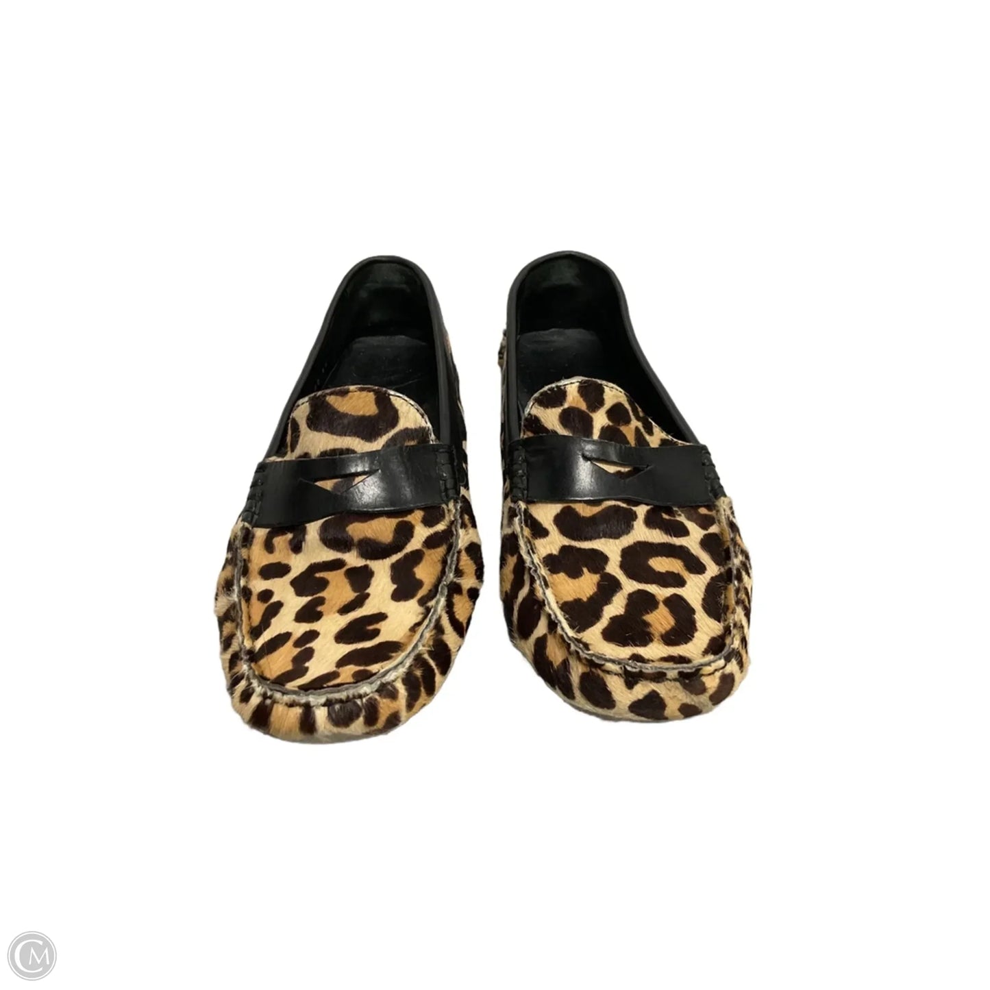 Shoes Flats By Cole-haan In Animal Print, Size: 7.5