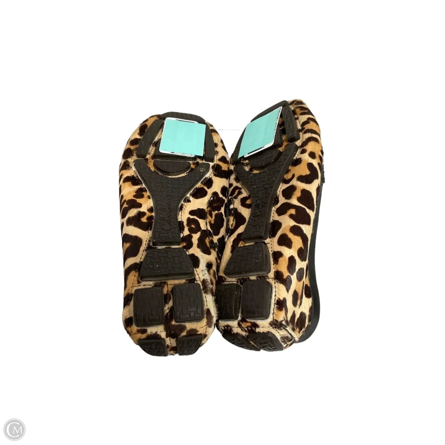 Shoes Flats By Cole-haan In Animal Print, Size: 7.5