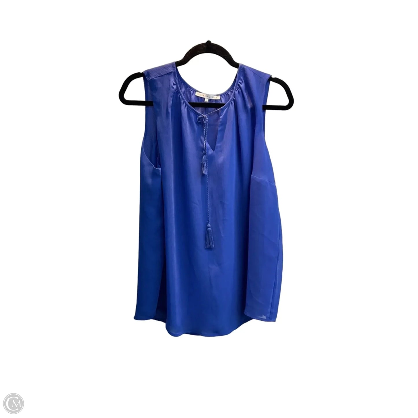 Top Sleeveless By Violet And Claire In Blue, Size: 1x