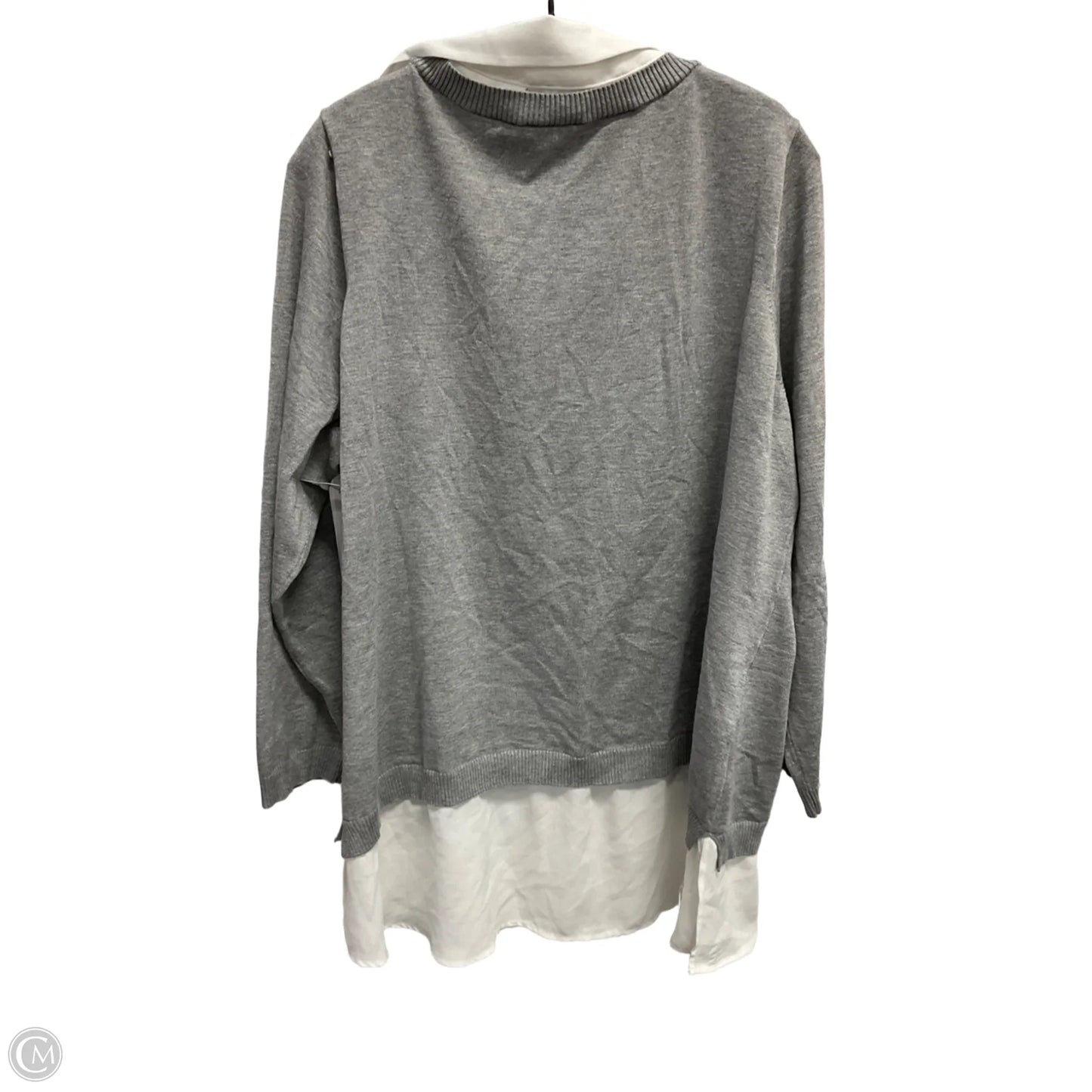 Top Long Sleeve By Adrianna Papell In Grey & White, Size: 2x