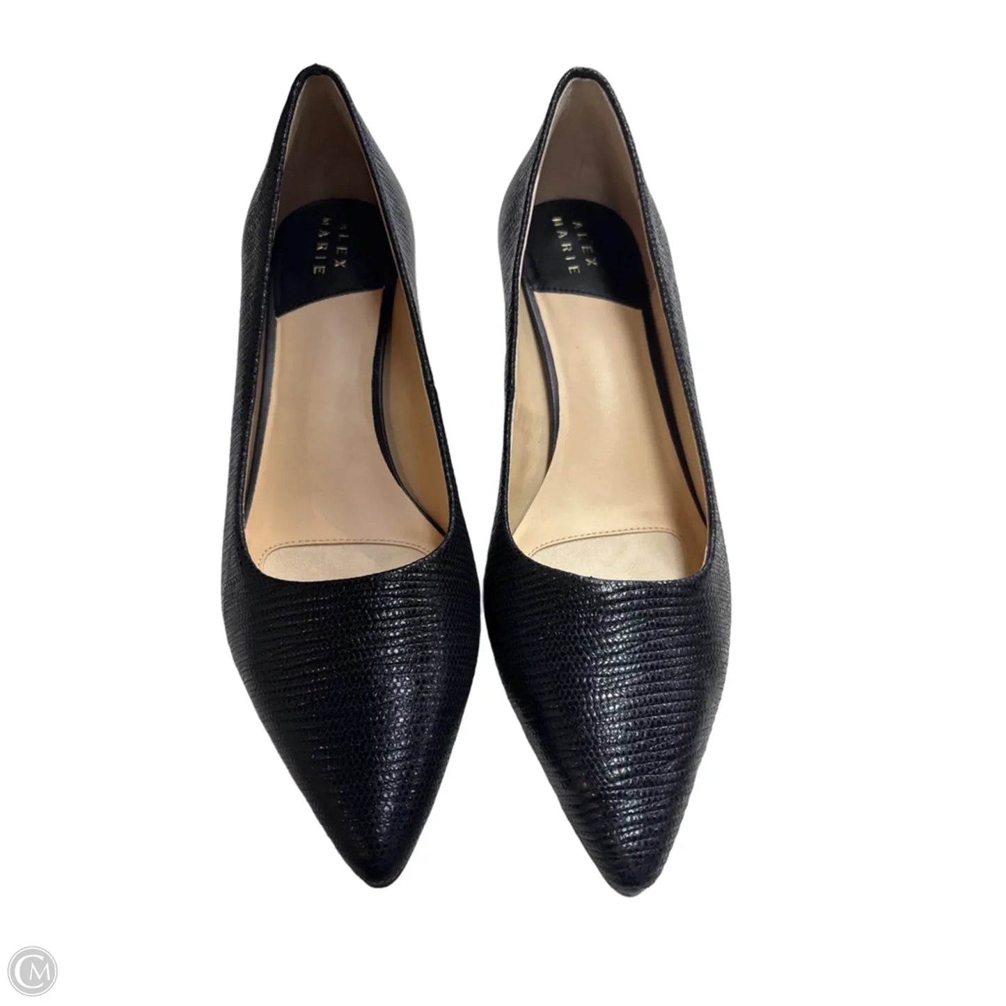 Shoes Heels Block By Alex Marie In Black, Size: 8.5