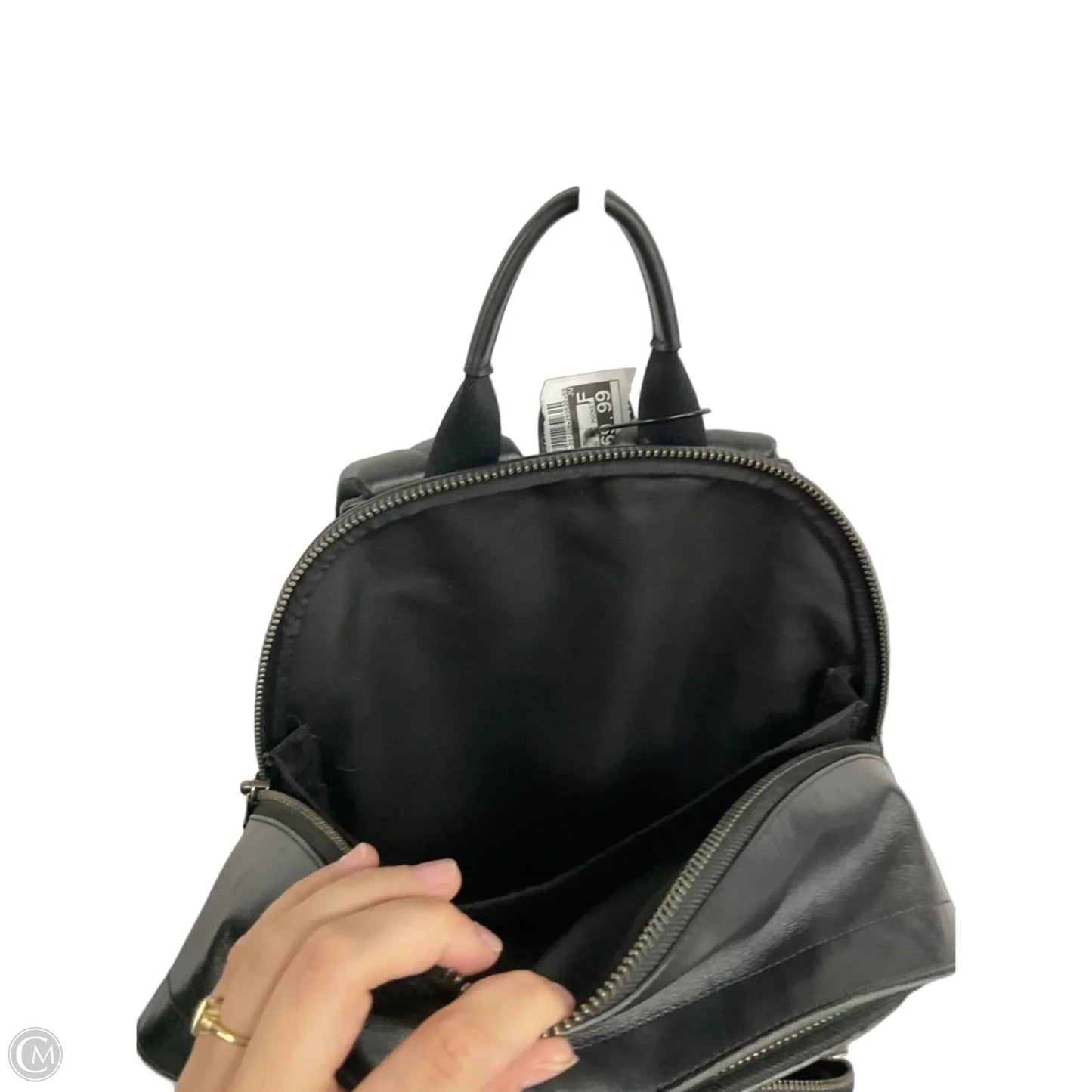 Backpack Designer By Coach, Size: Large