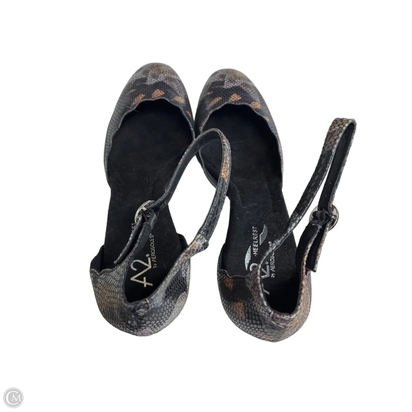 Shoes Heels Block By Aerosoles In Snakeskin Print, Size: 11