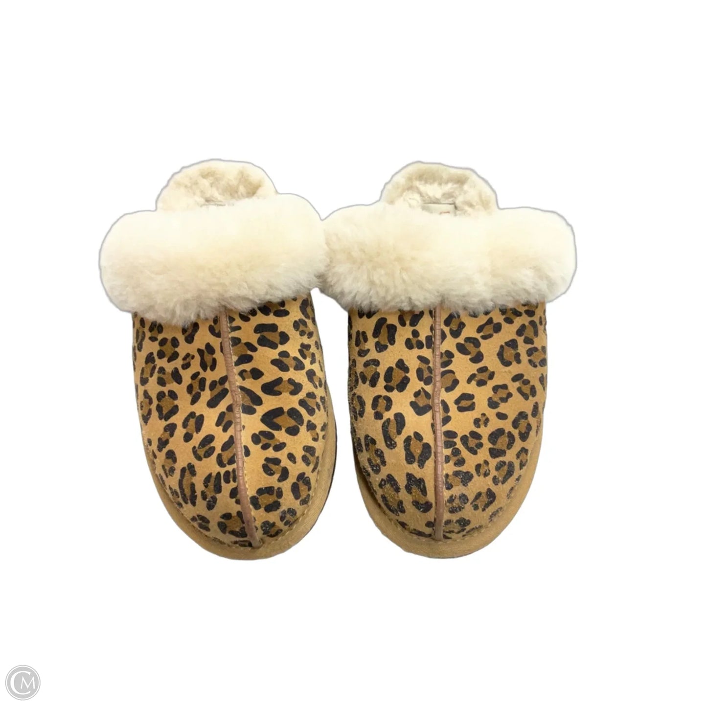 Slippers Designer By Ugg In Animal Print, Size: 7