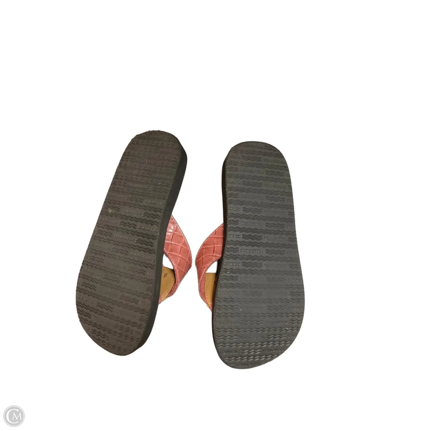 Sandals Flip Flops By Yellow Box In Brown, Size: 6